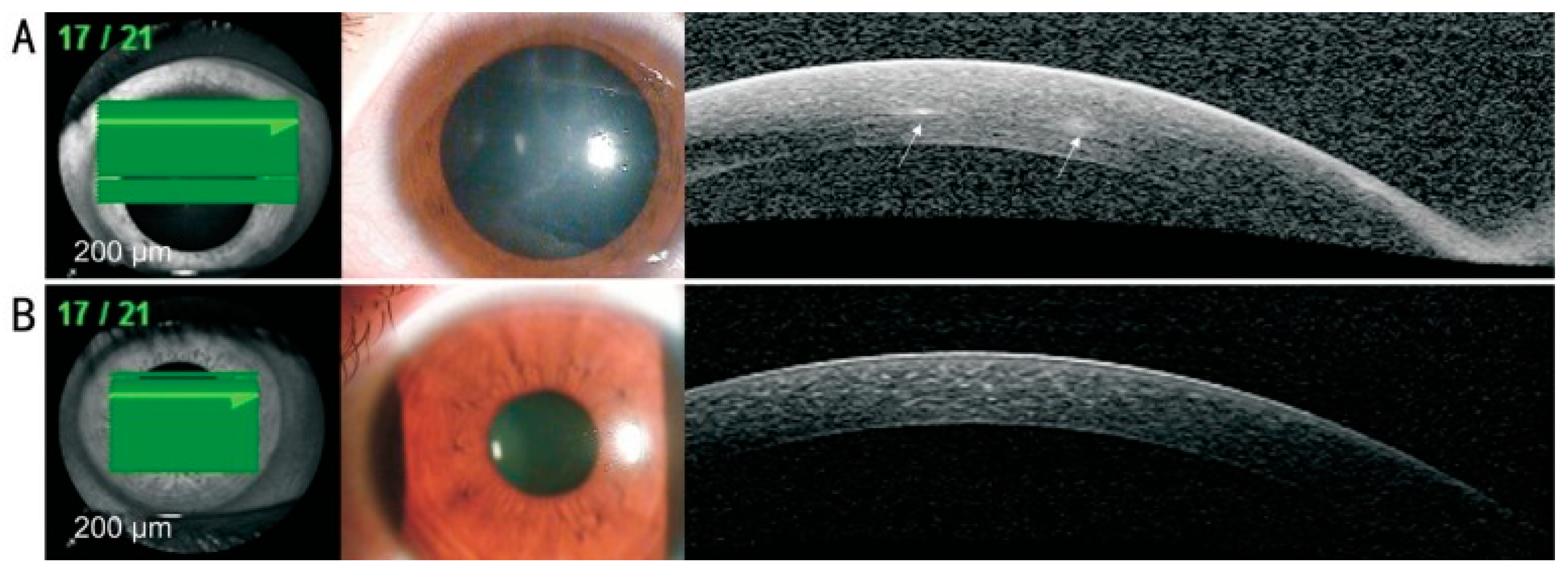 Diagnostics 13 02655 g003 Diagnostics 13 02655 g003