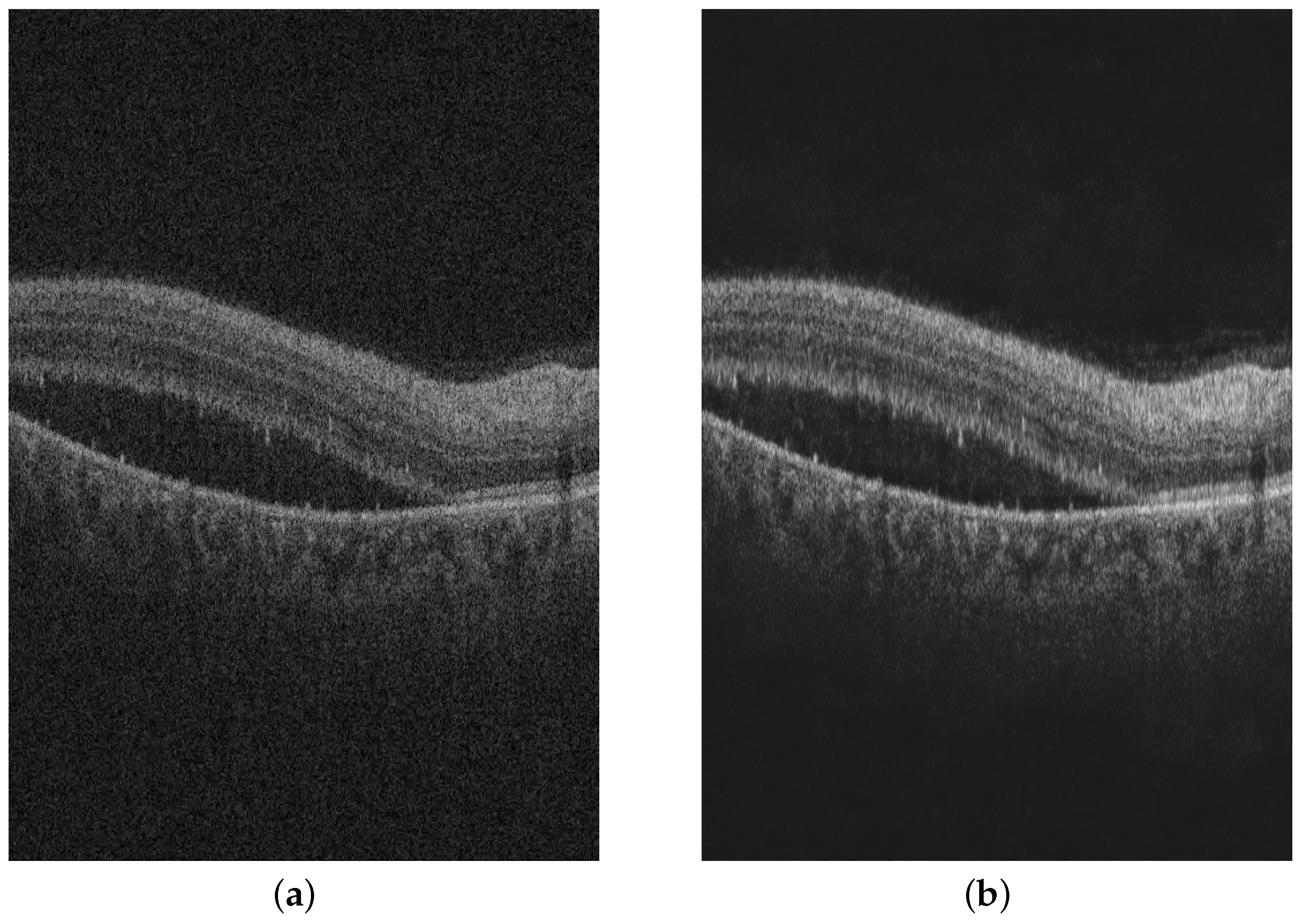 Diagnostics 13 02659 g003