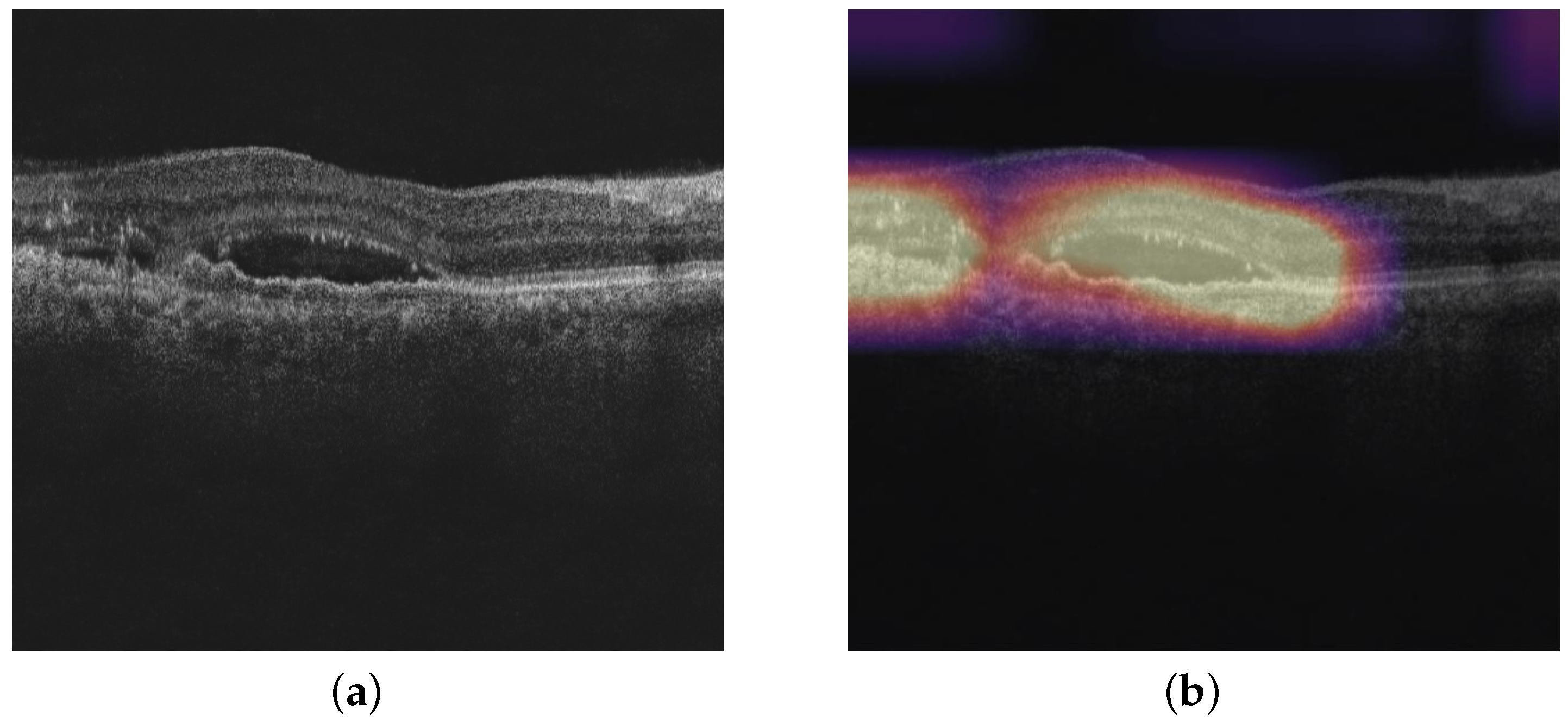 Diagnostics 13 02659 g005