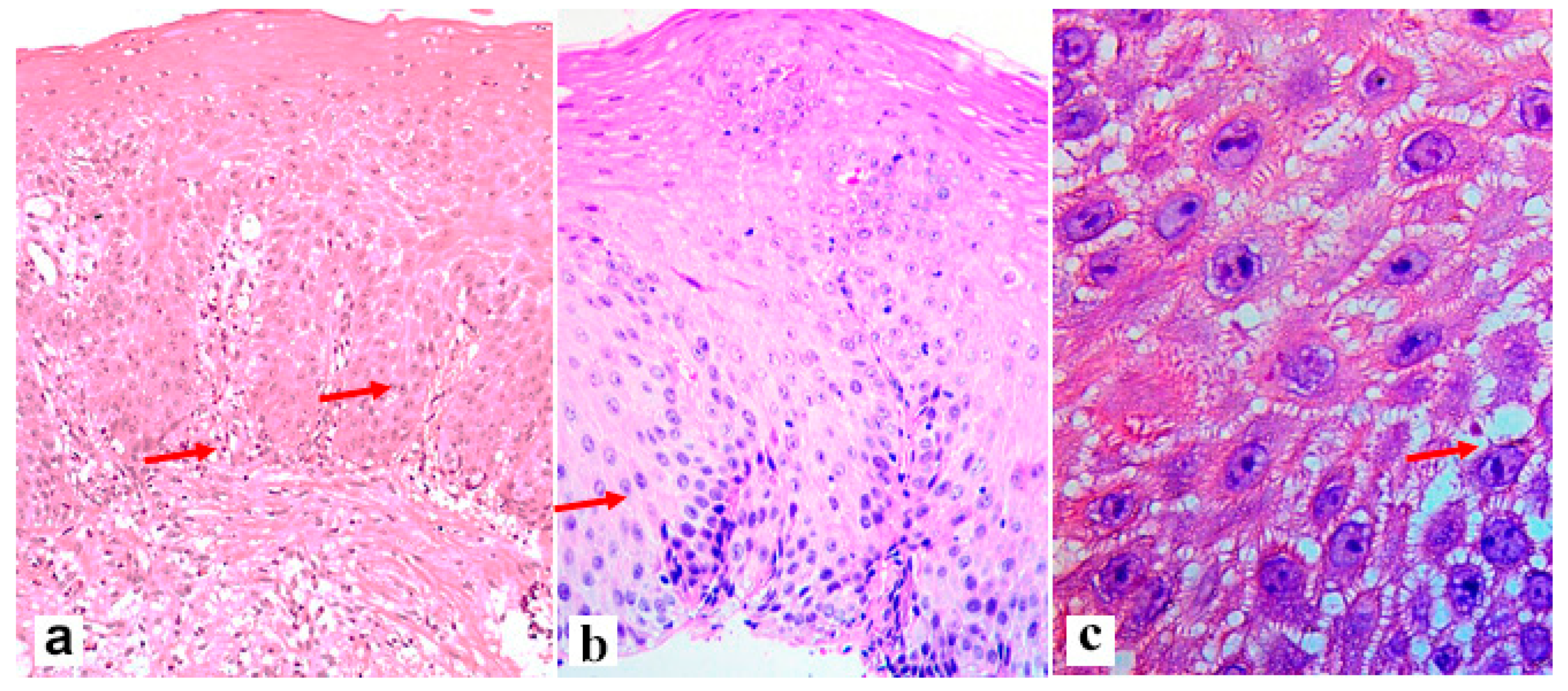 Diagnostics 13 02664 g001 Diagnostics 13 02664 g001