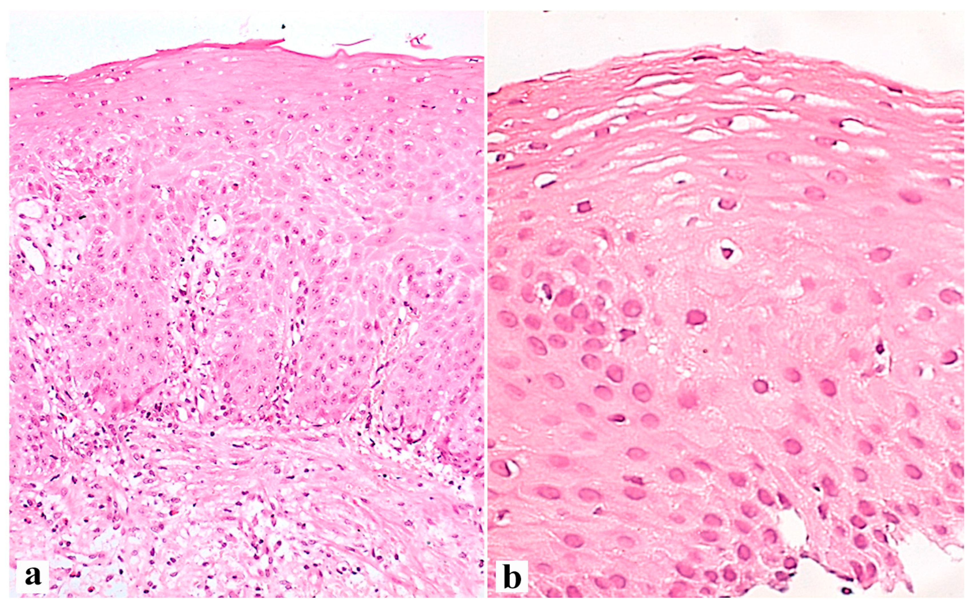 Diagnostics 13 02664 g002 Diagnostics 13 02664 g002