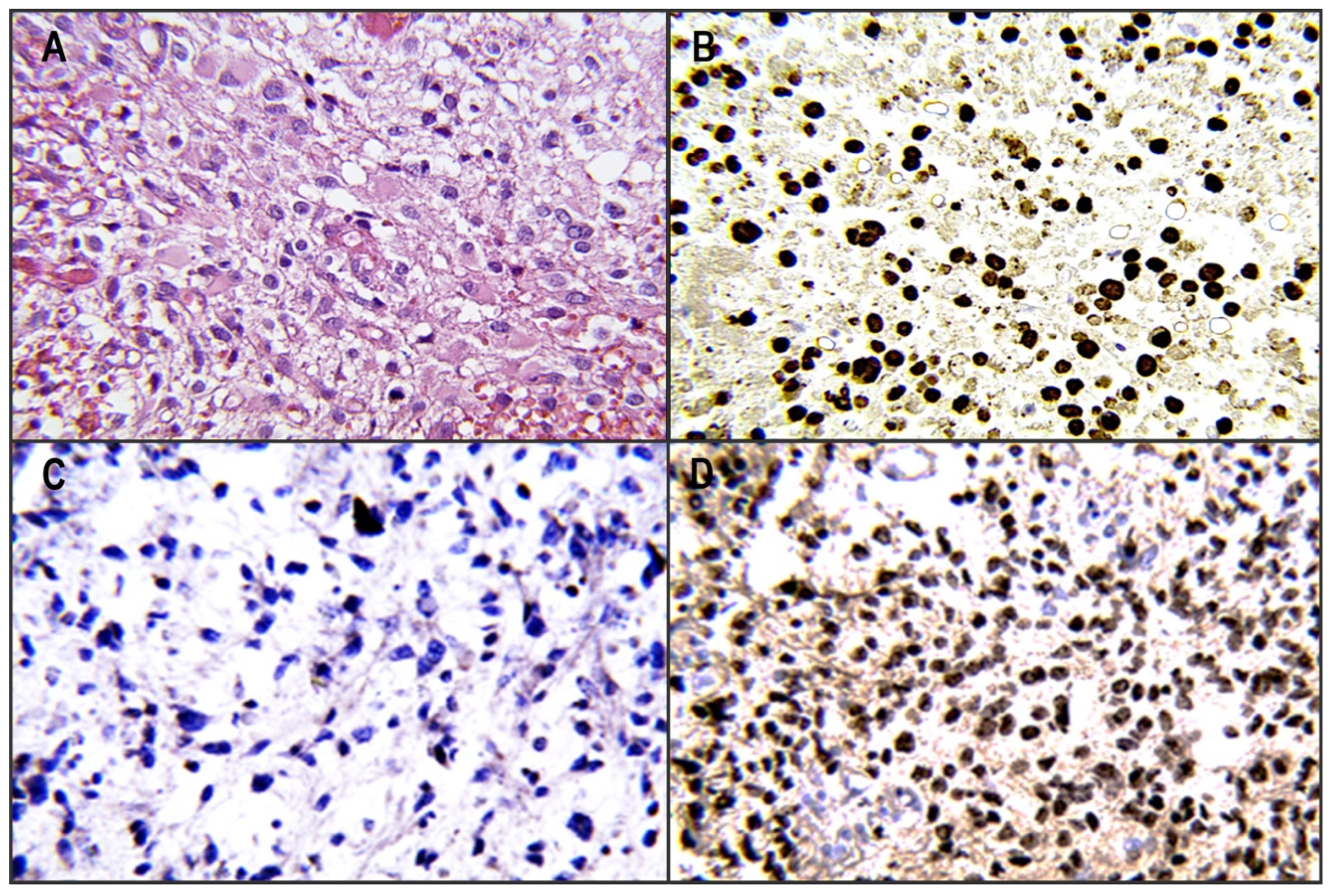 Diagnostics 13 02669 g001