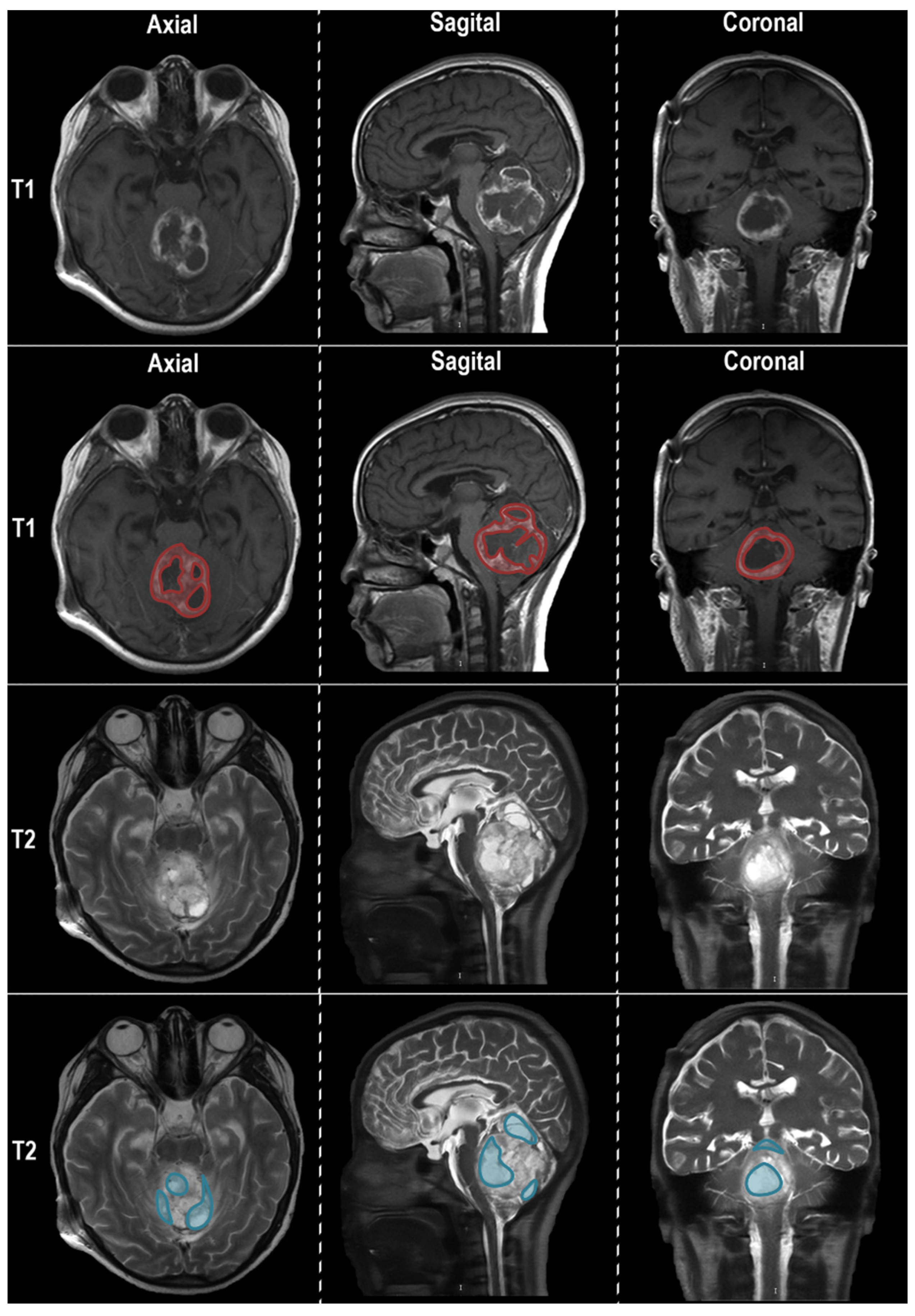 Diagnostics 13 02669 g003