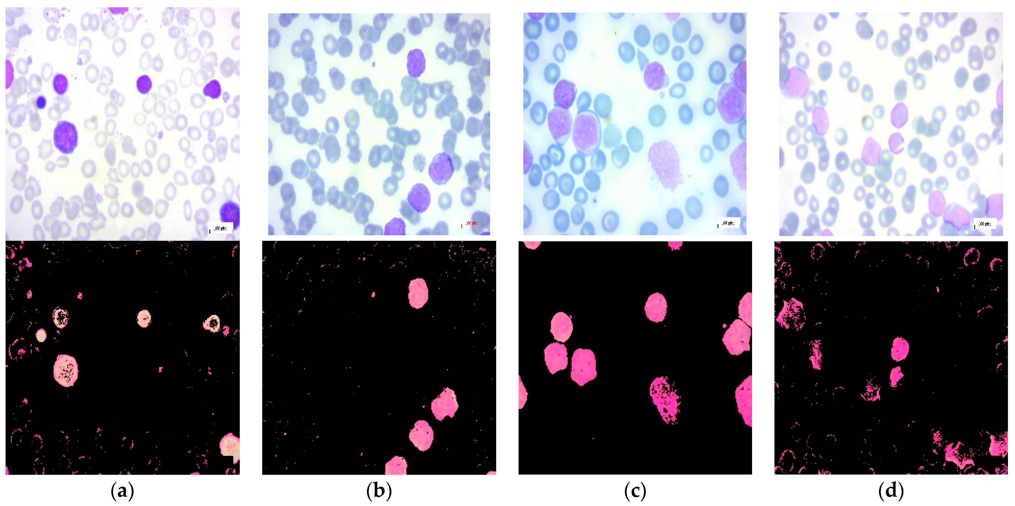 Diagnostics 13 02672 g001