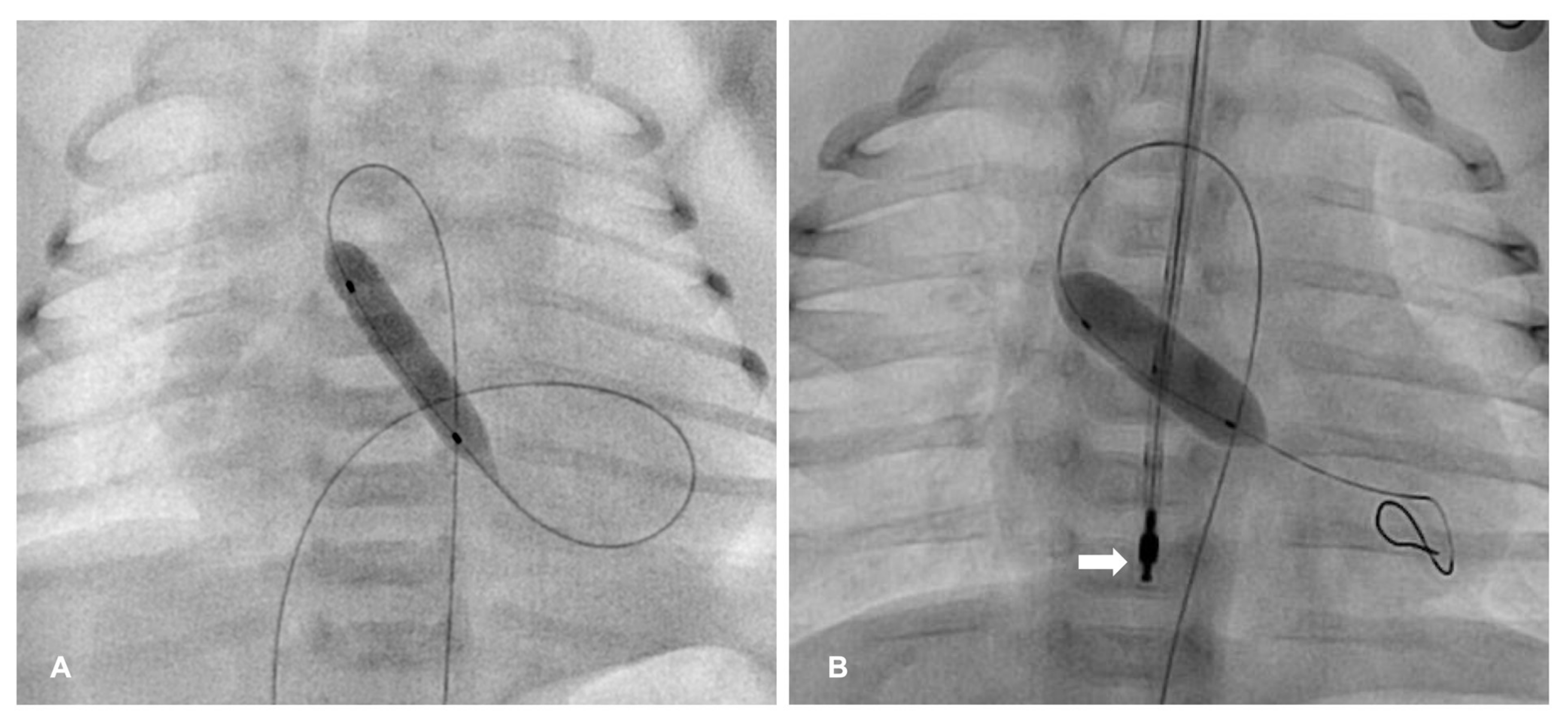 Diagnostics 13 02673 g002