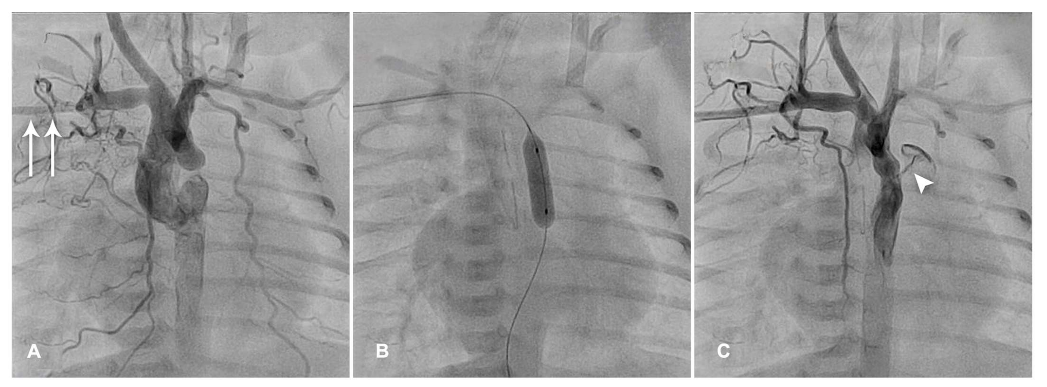 Diagnostics 13 02673 g003