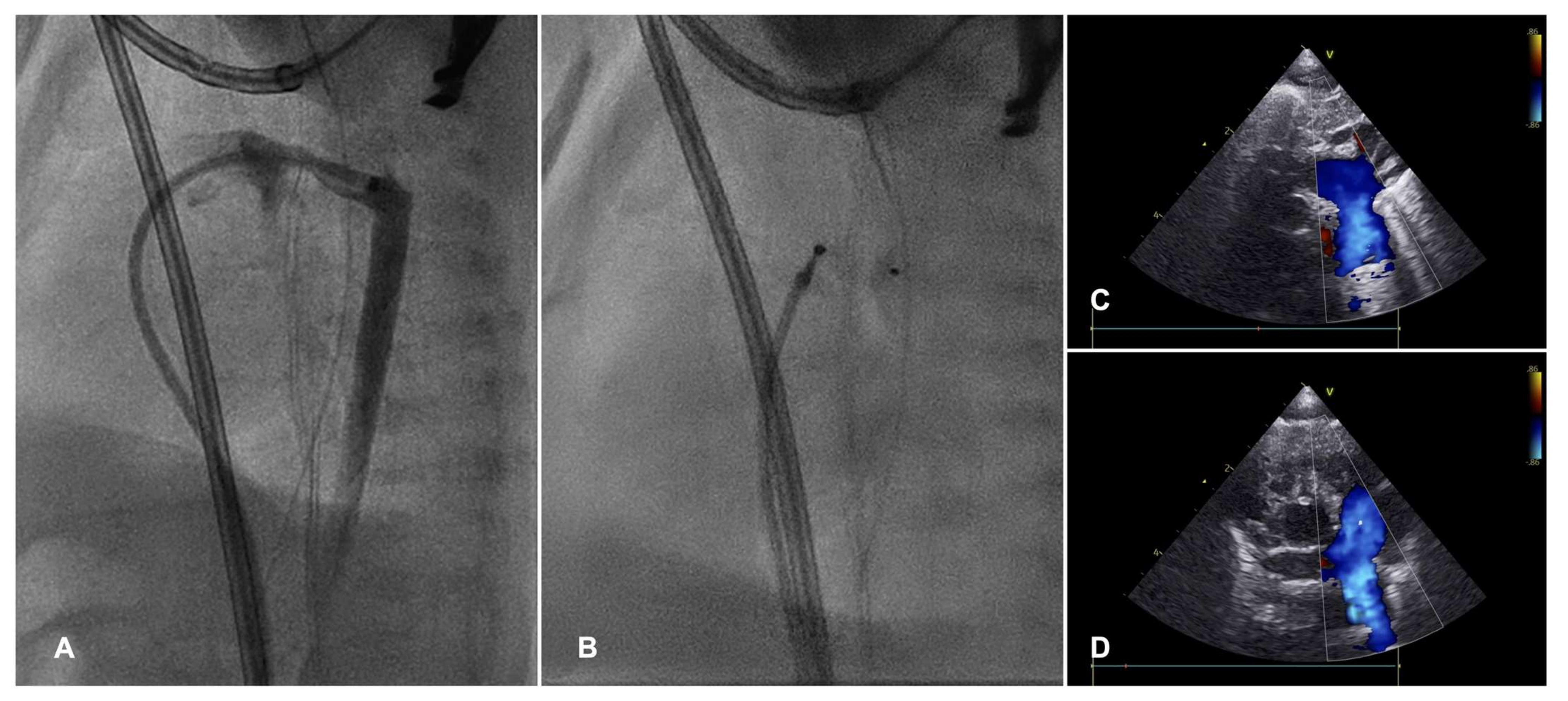 Diagnostics 13 02673 g005