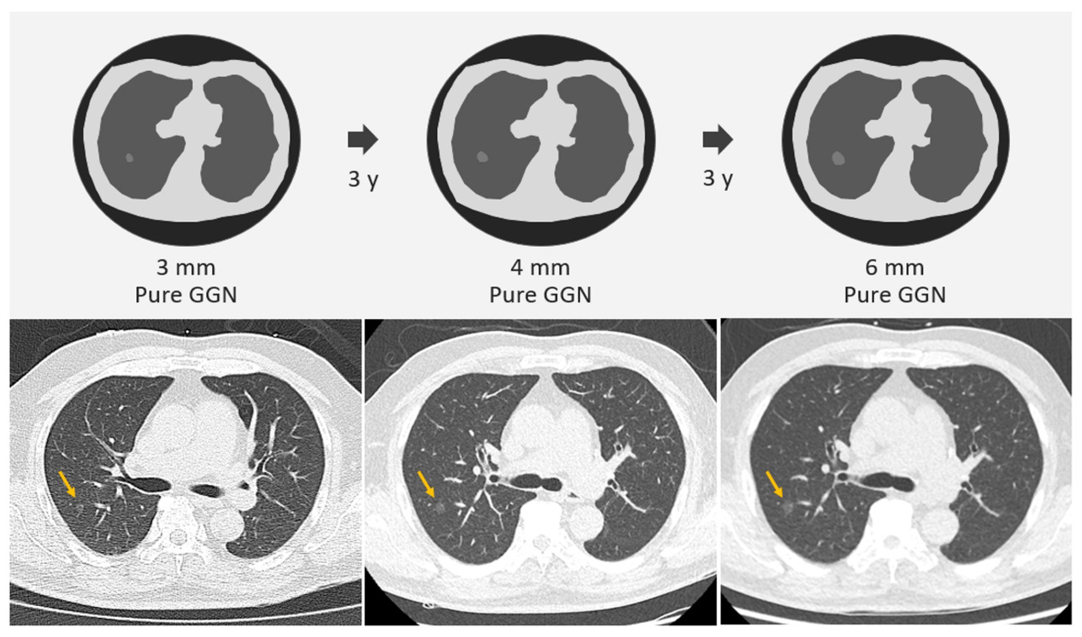 Diagnostics 13 02674 g004