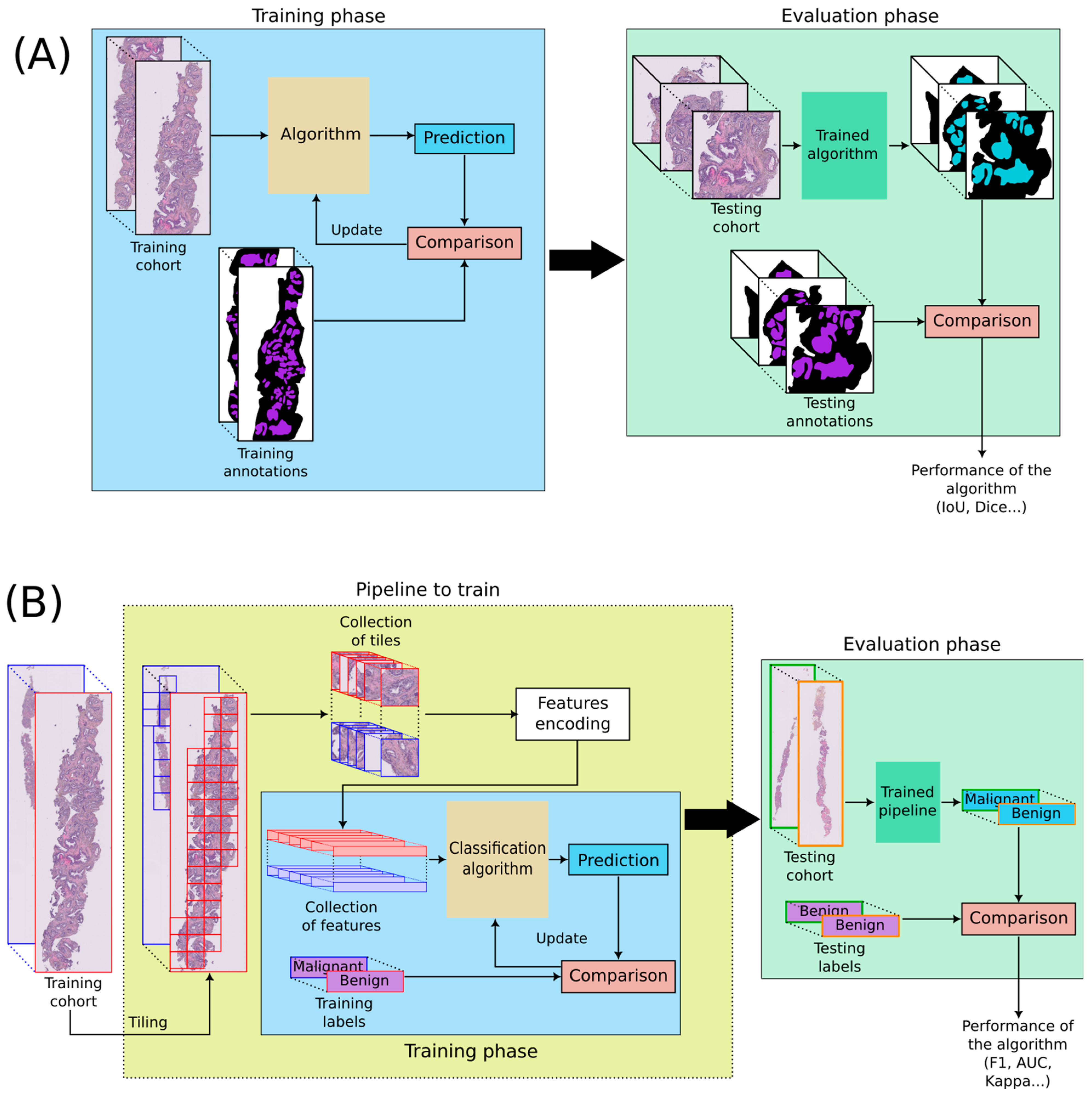 Diagnostics 13 02676 g001