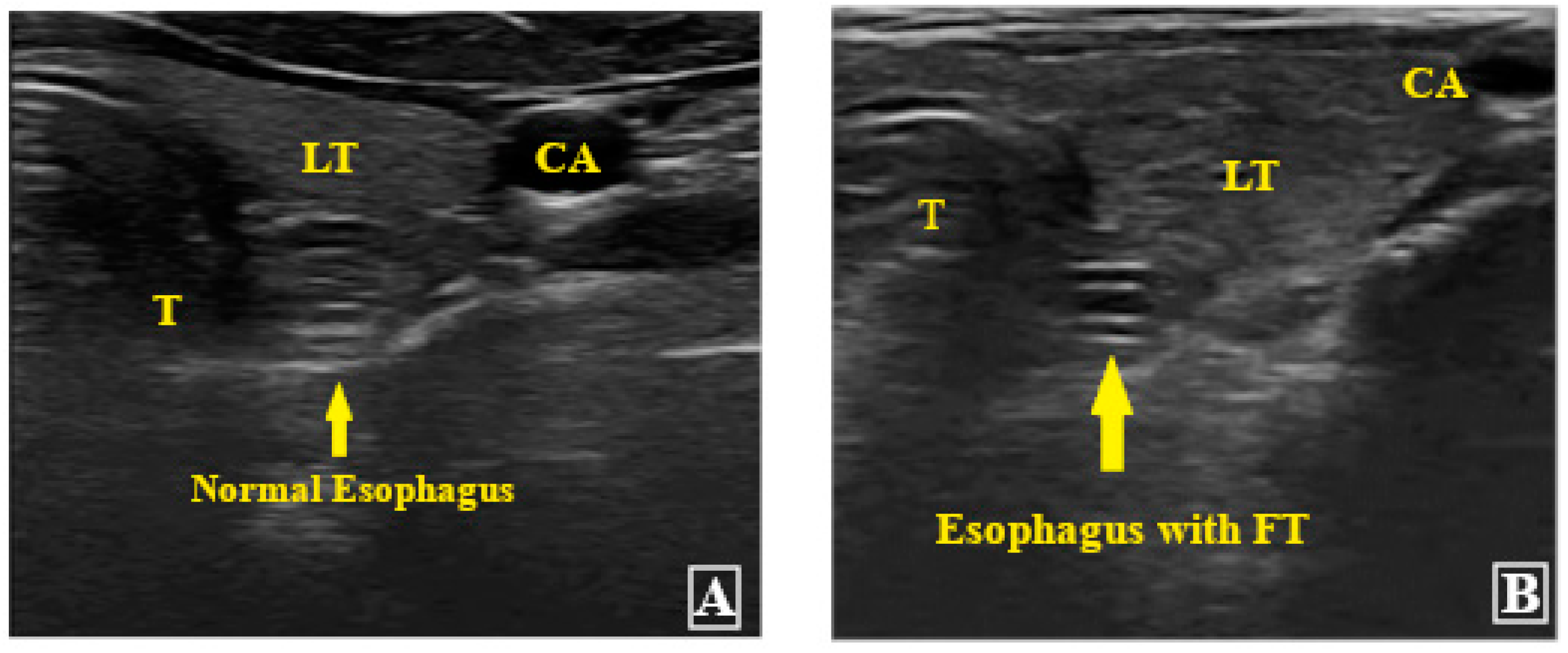 Diagnostics 13 02679 g004