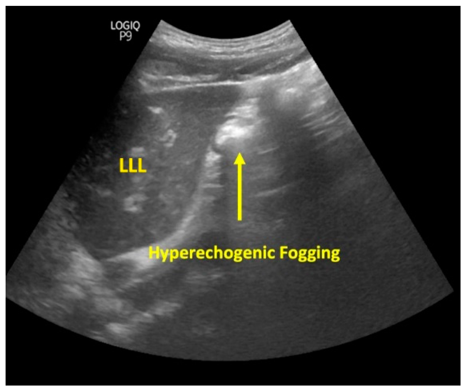 Diagnostics 13 02679 g006