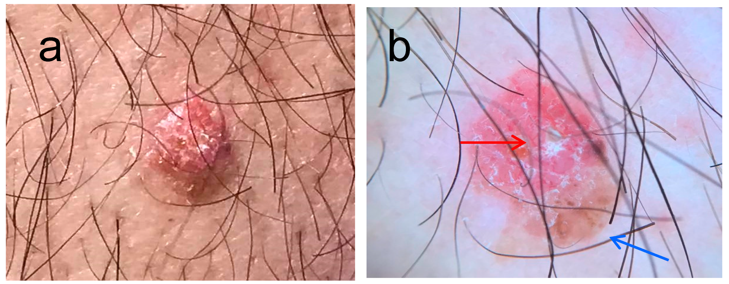 Diagnostics 13 02689 g001