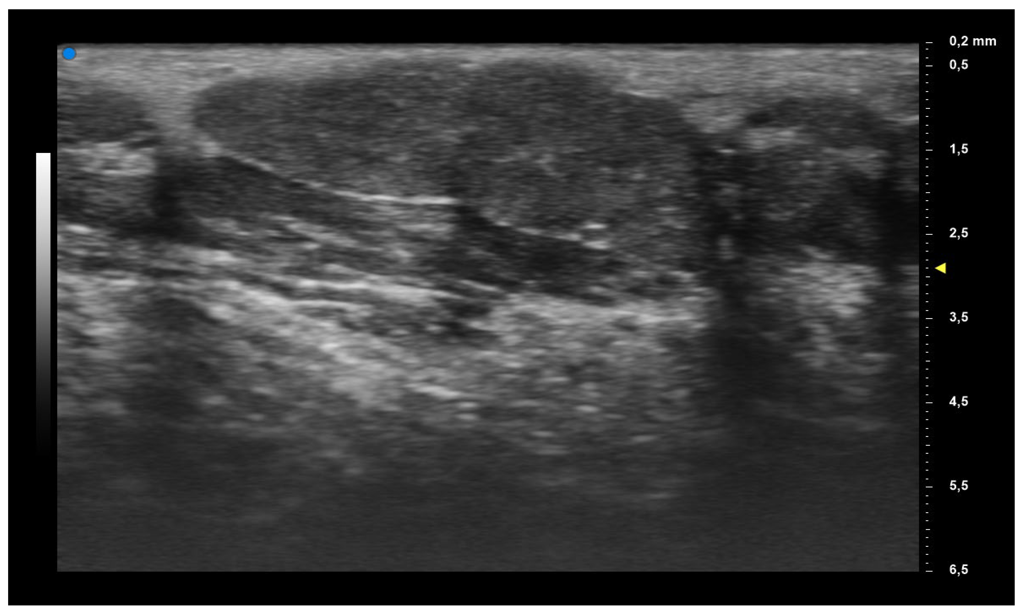 Diagnostics 13 02695 g001