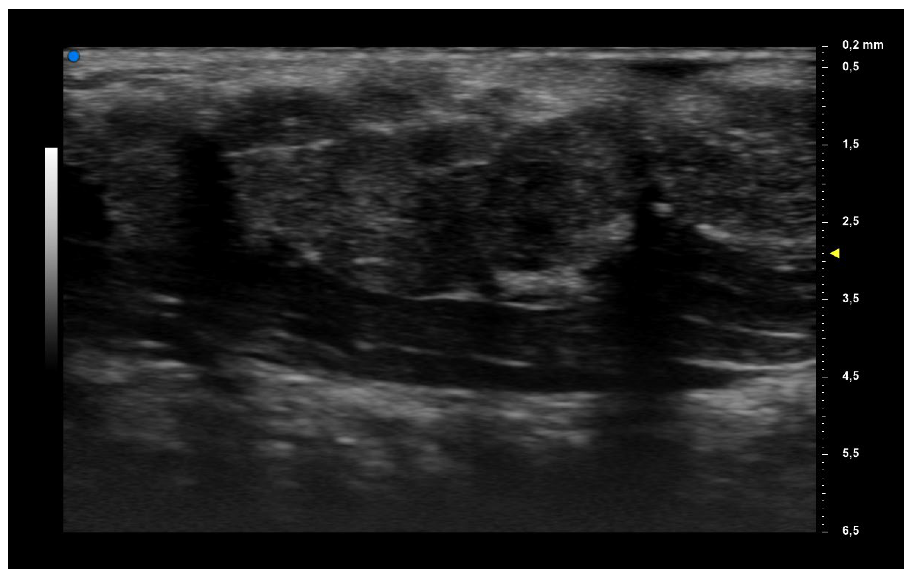 Diagnostics 13 02695 g002