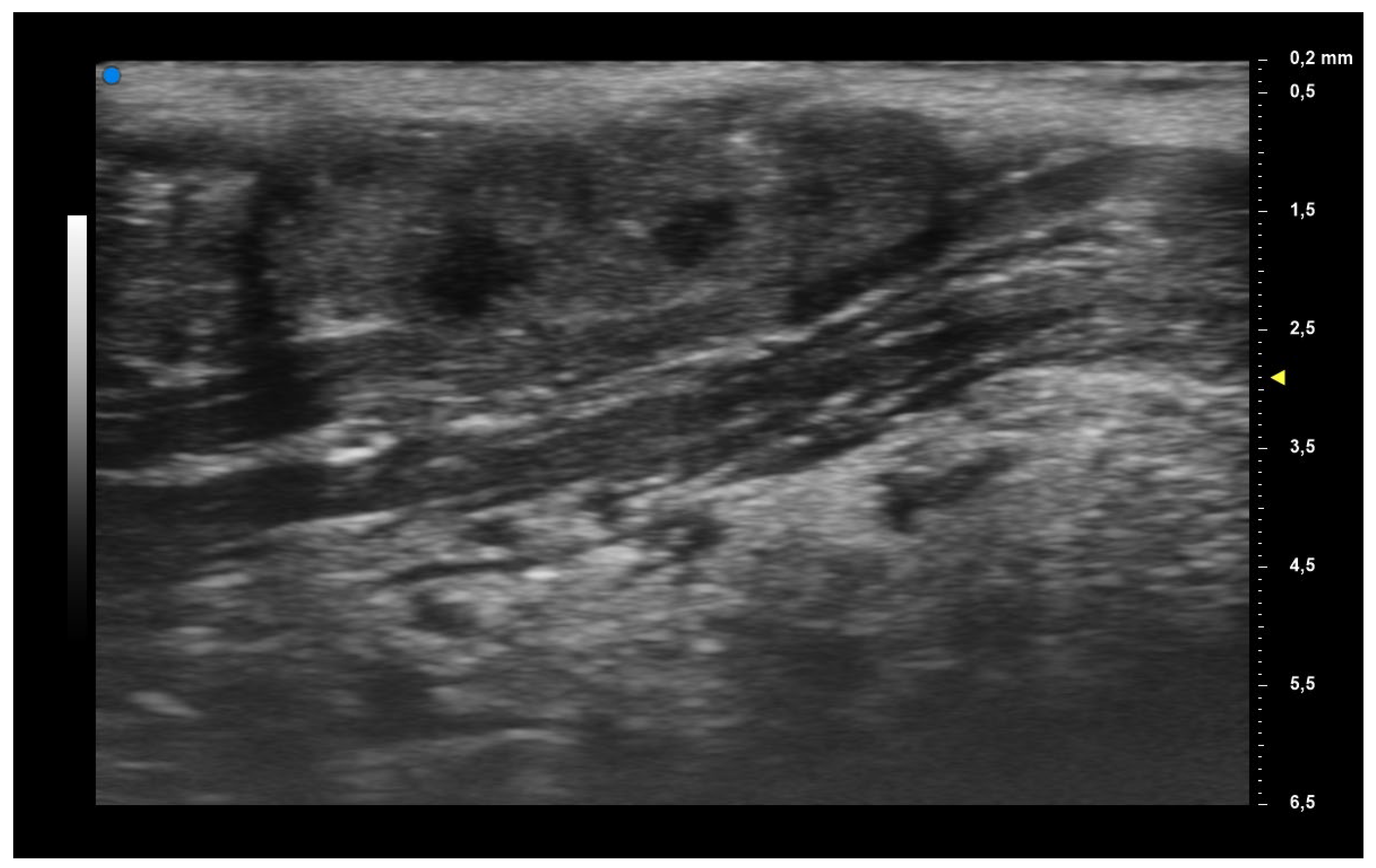 Diagnostics 13 02695 g003