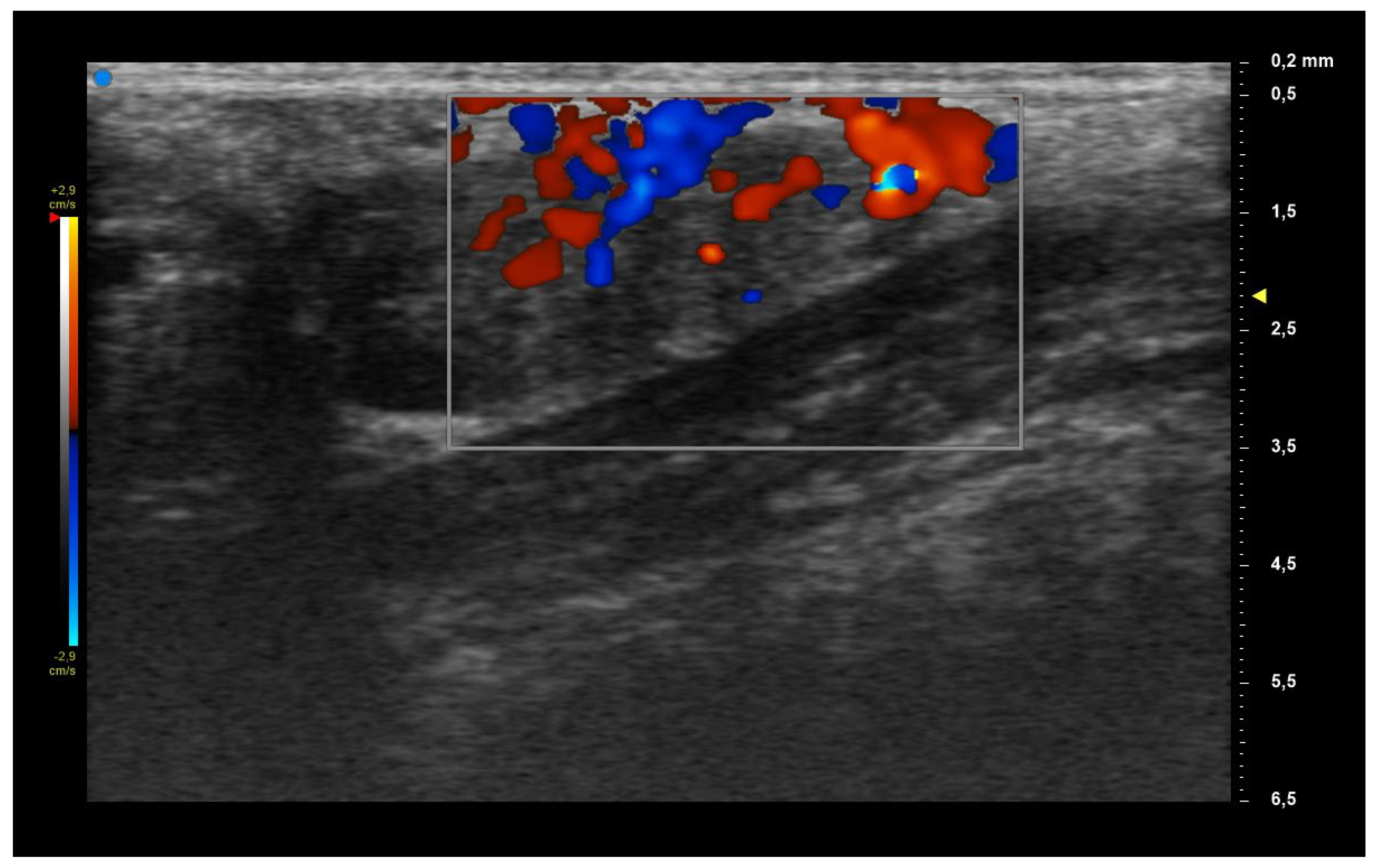Diagnostics 13 02695 g004