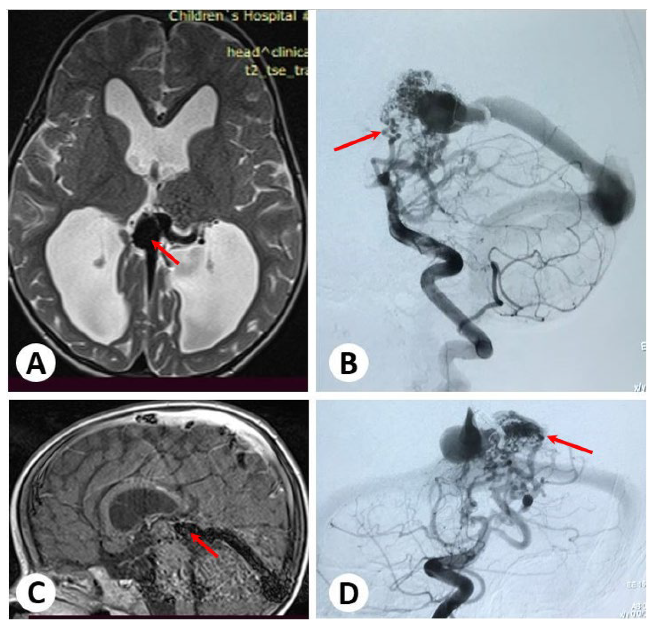 Diagnostics 13 02704 g001
