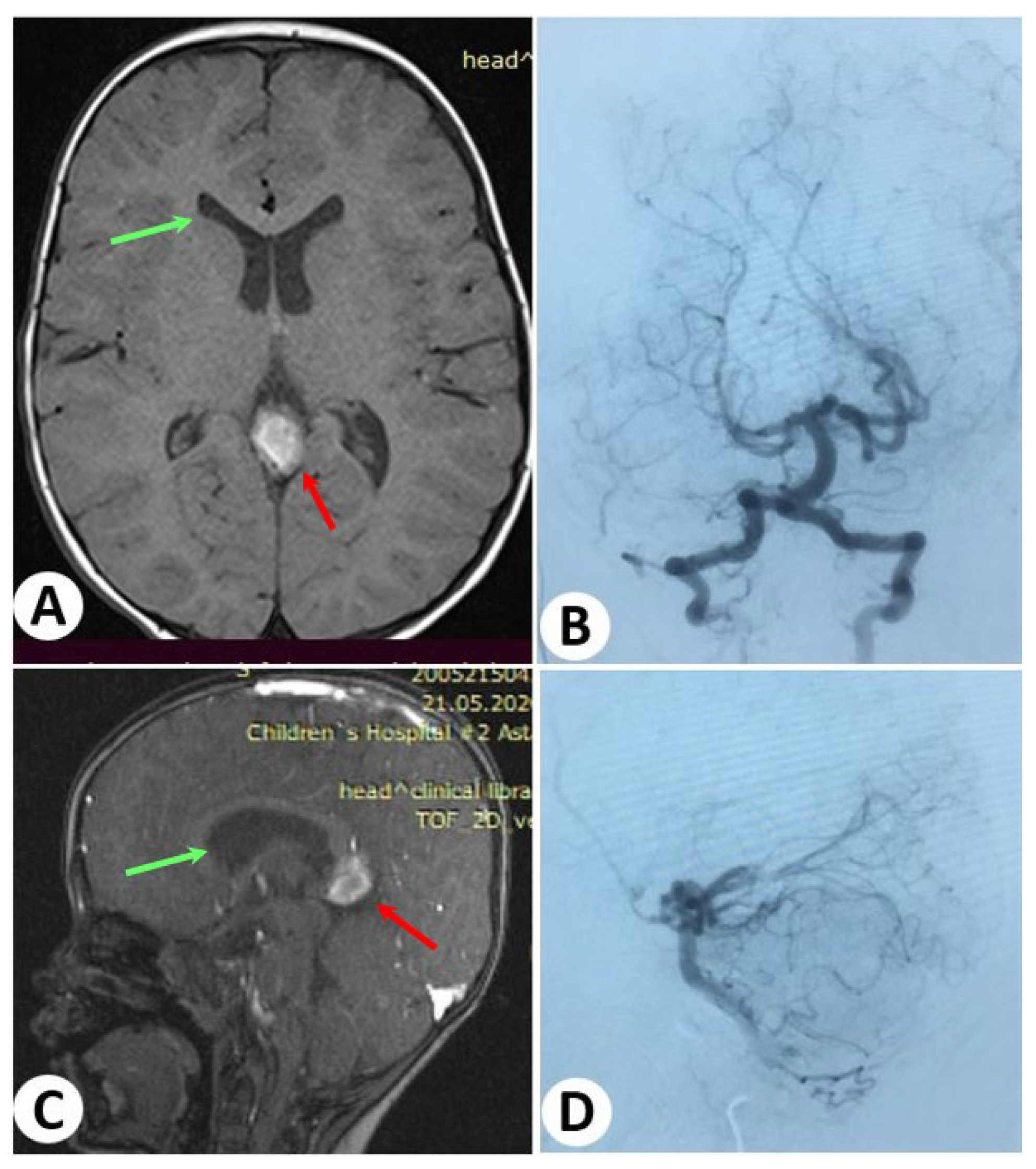 Diagnostics 13 02704 g004