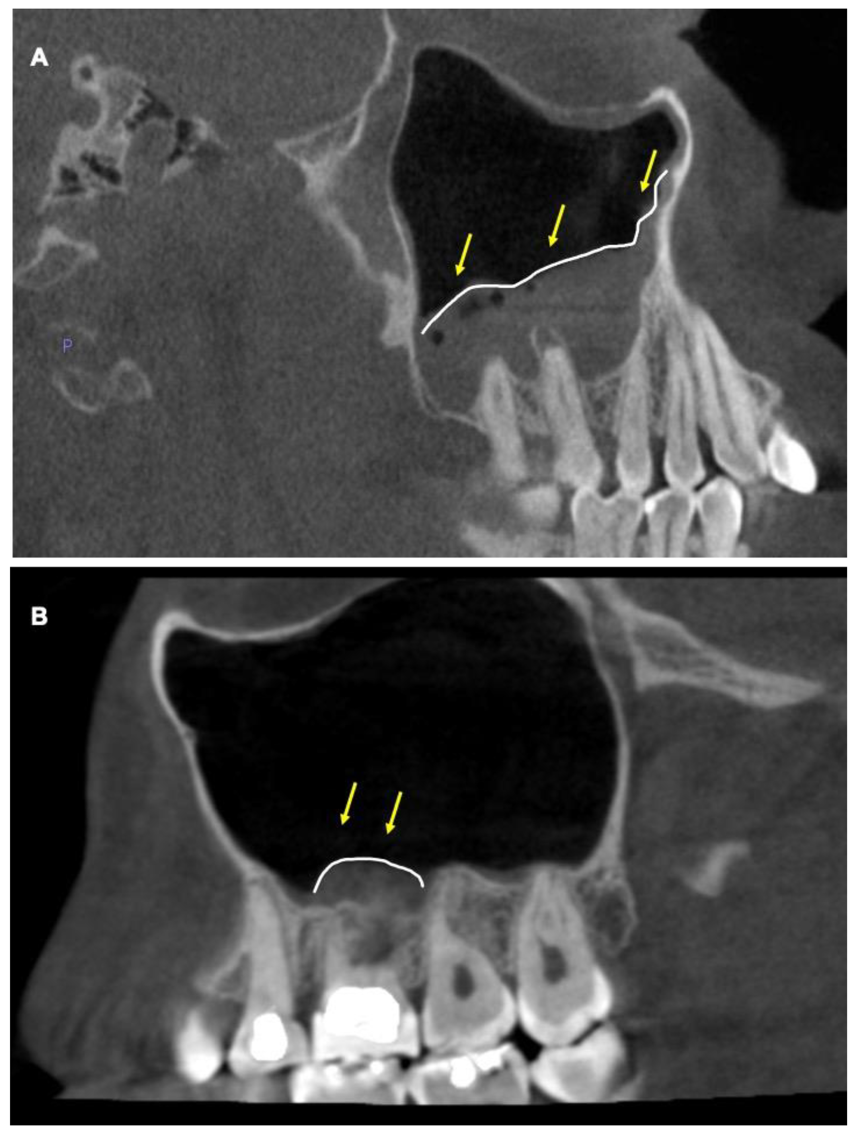 Diagnostics 13 02710 g001