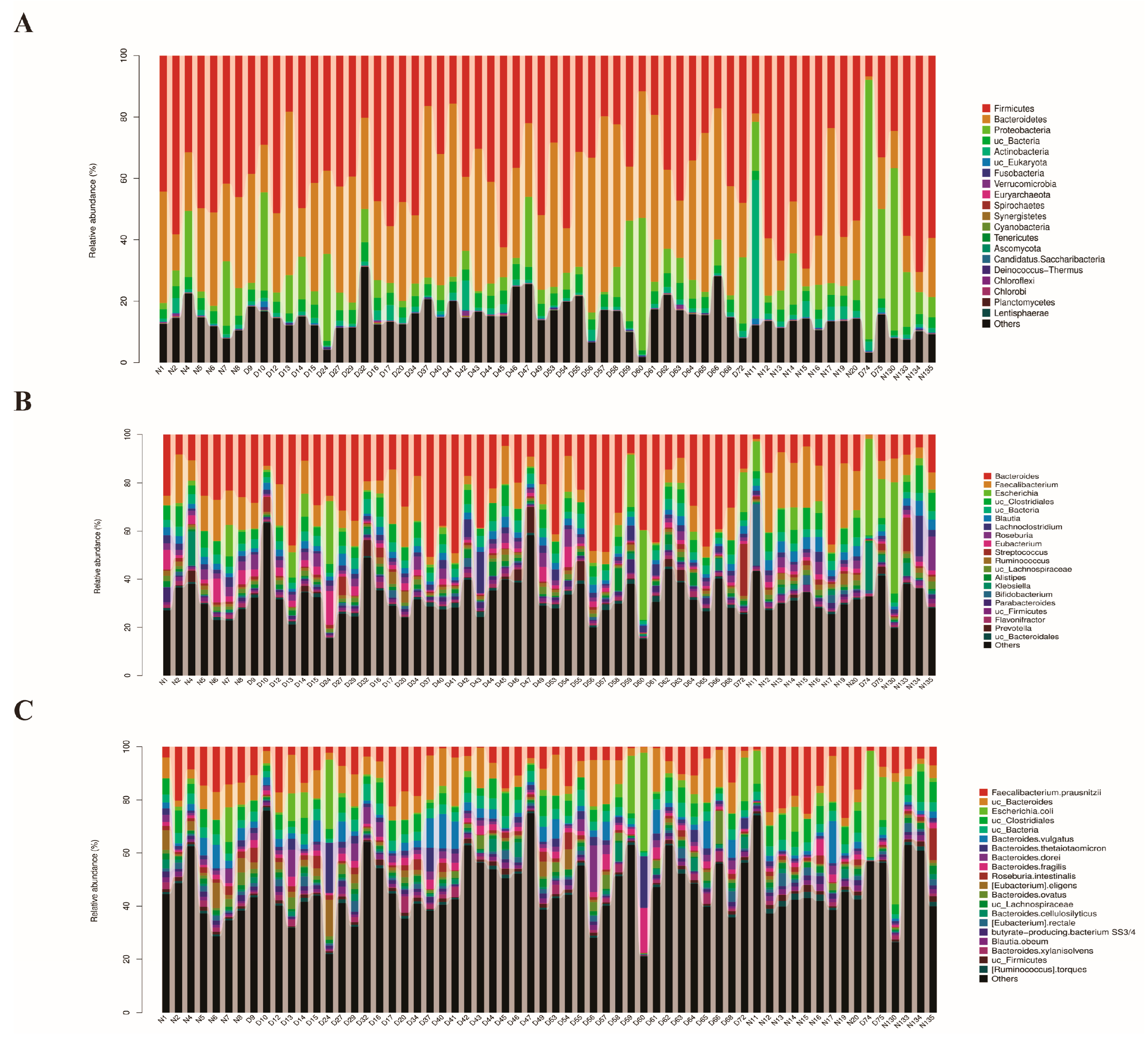 Diagnostics 13 02712 g001