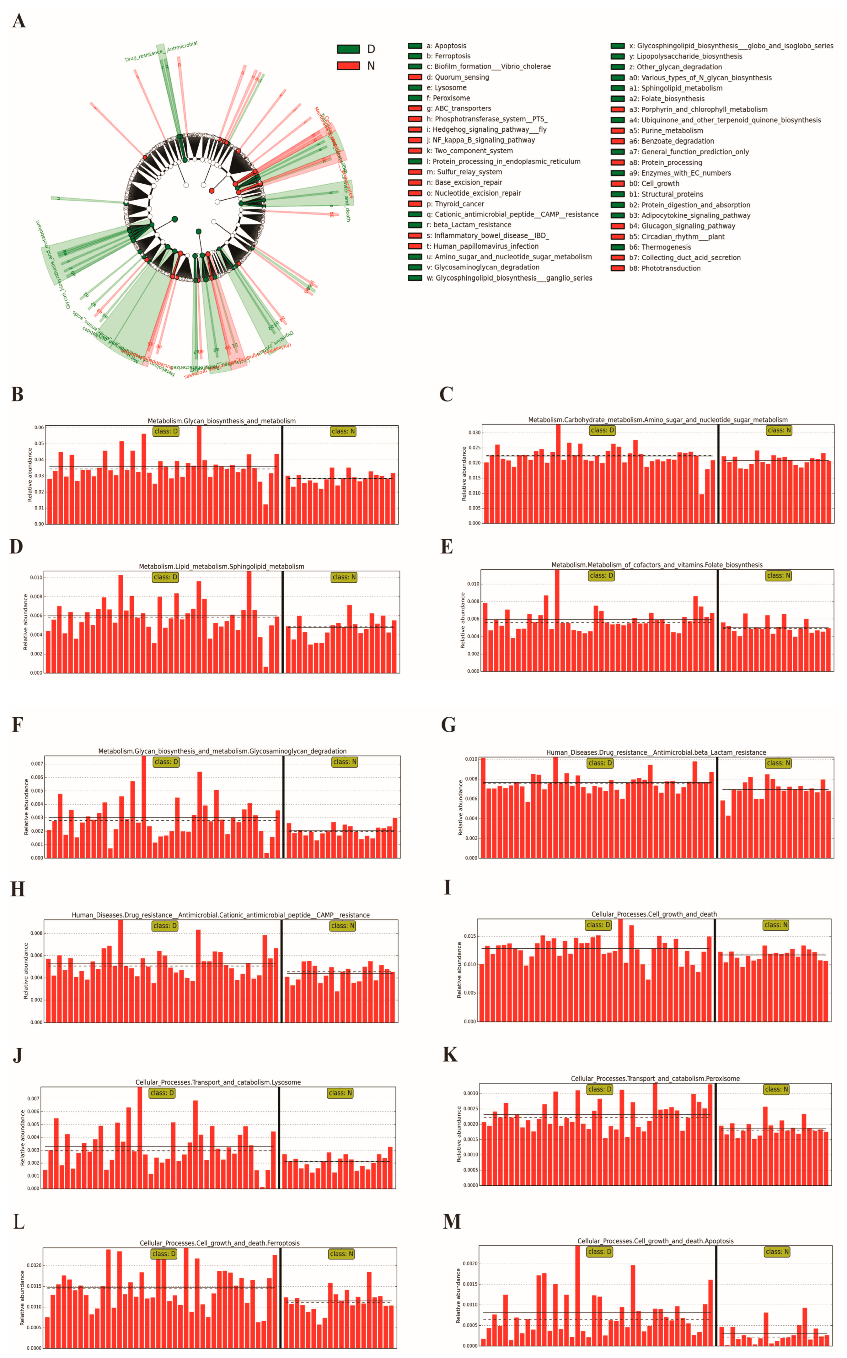 Diagnostics 13 02712 g004