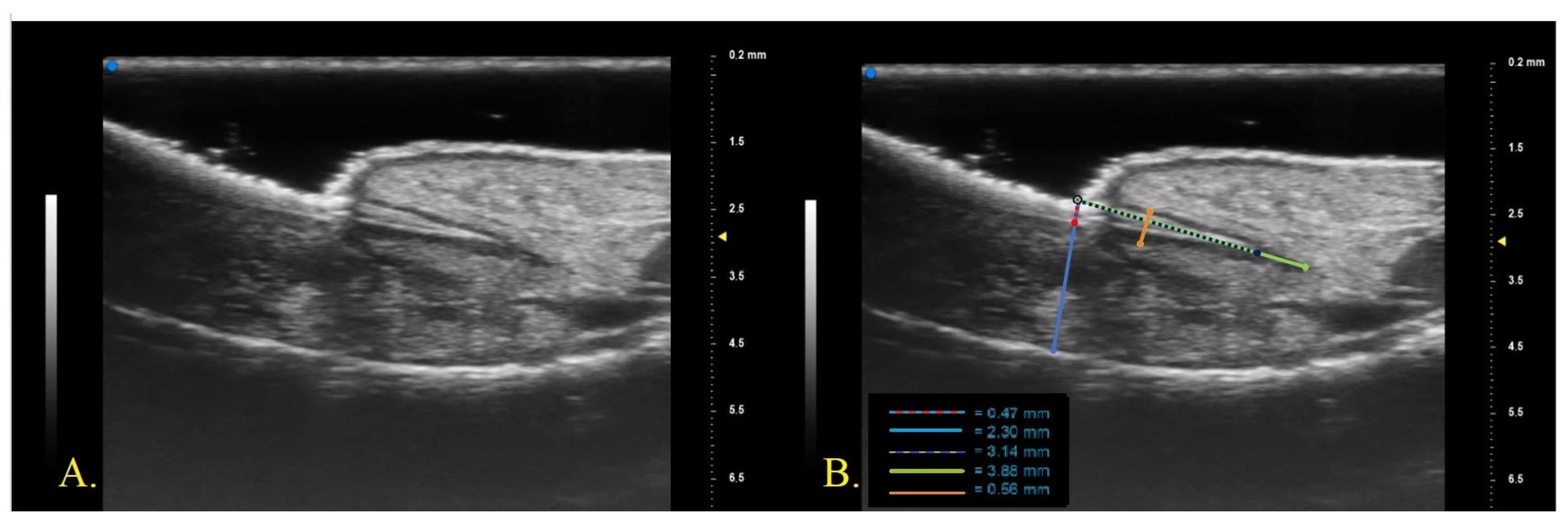 Diagnostics 13 02716 g001