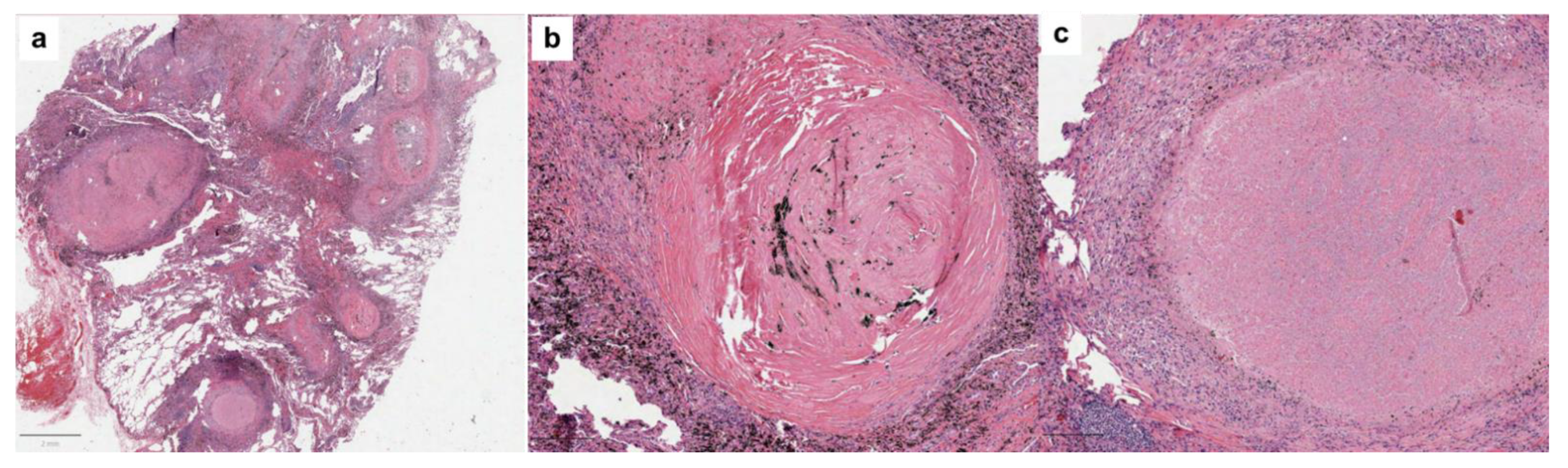 Diagnostics 13 02728 g002
