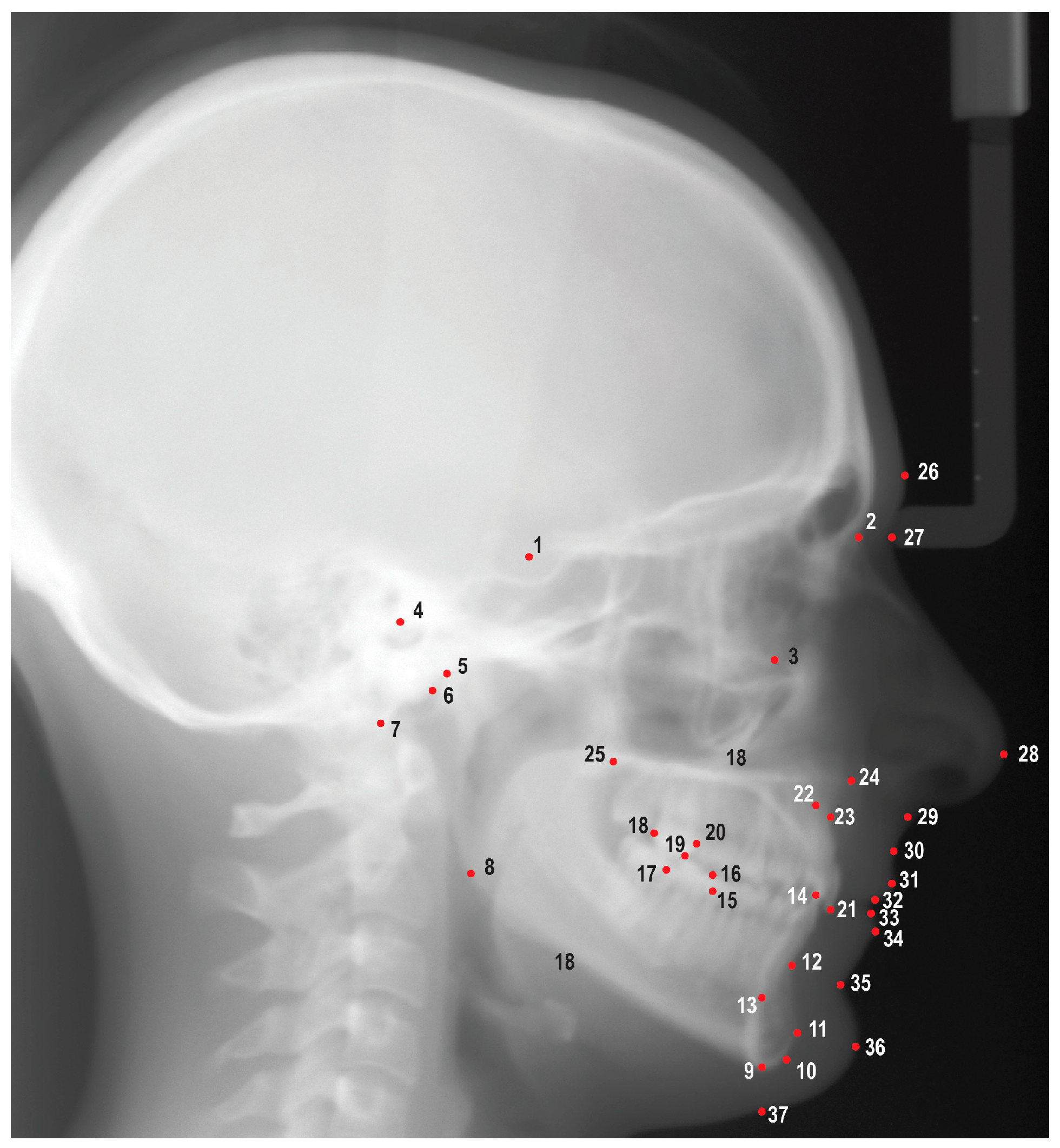 Diagnostics 13 02729 g001