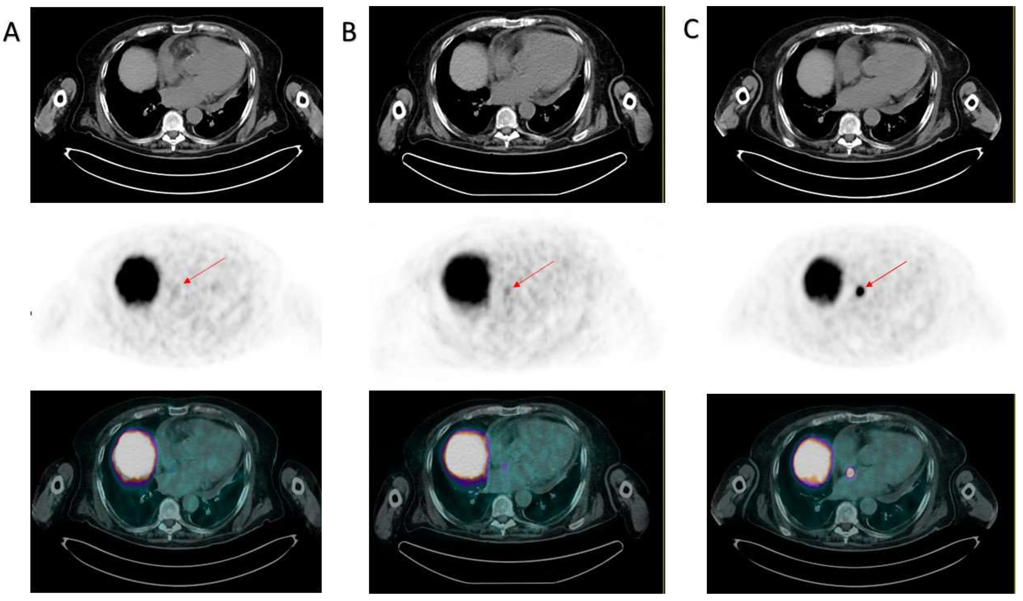 Diagnostics 13 02733 g002