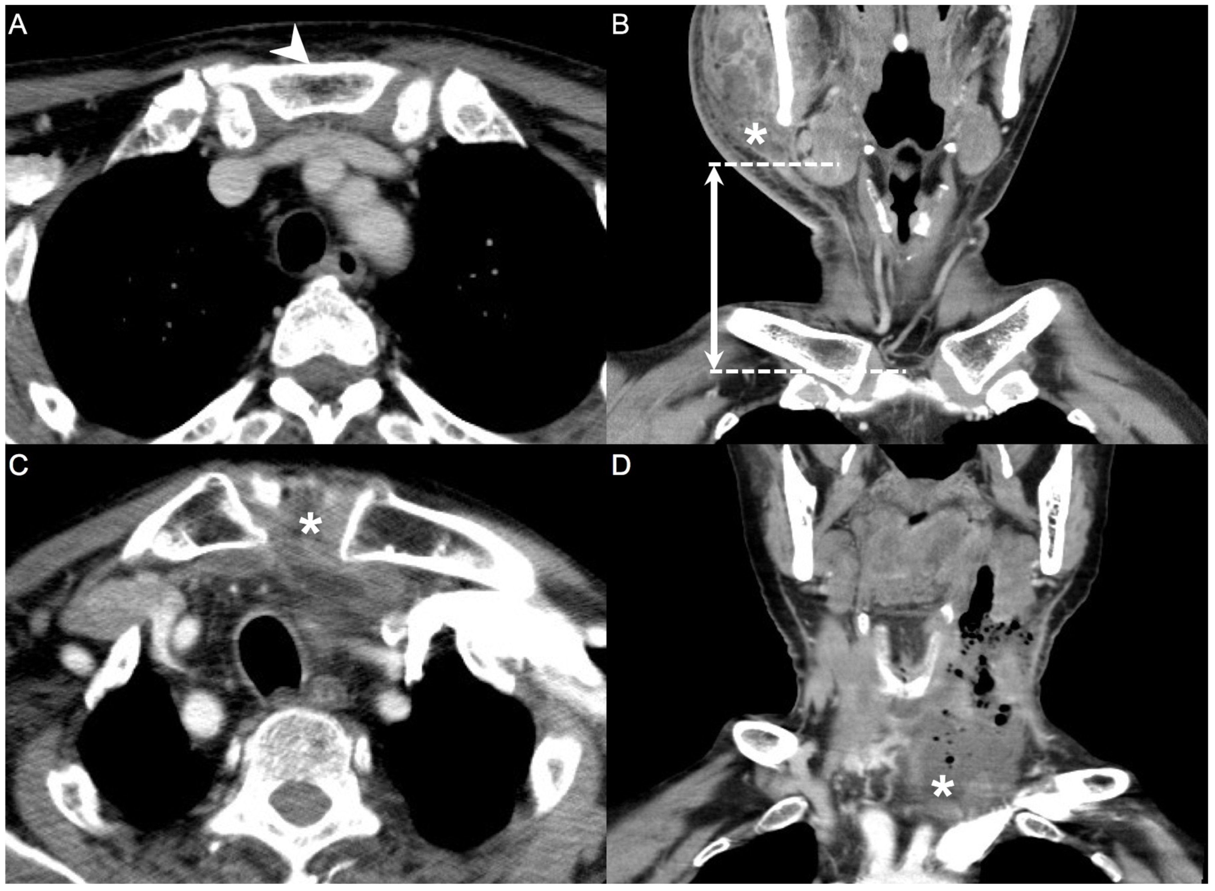 Diagnostics 13 02736 g001