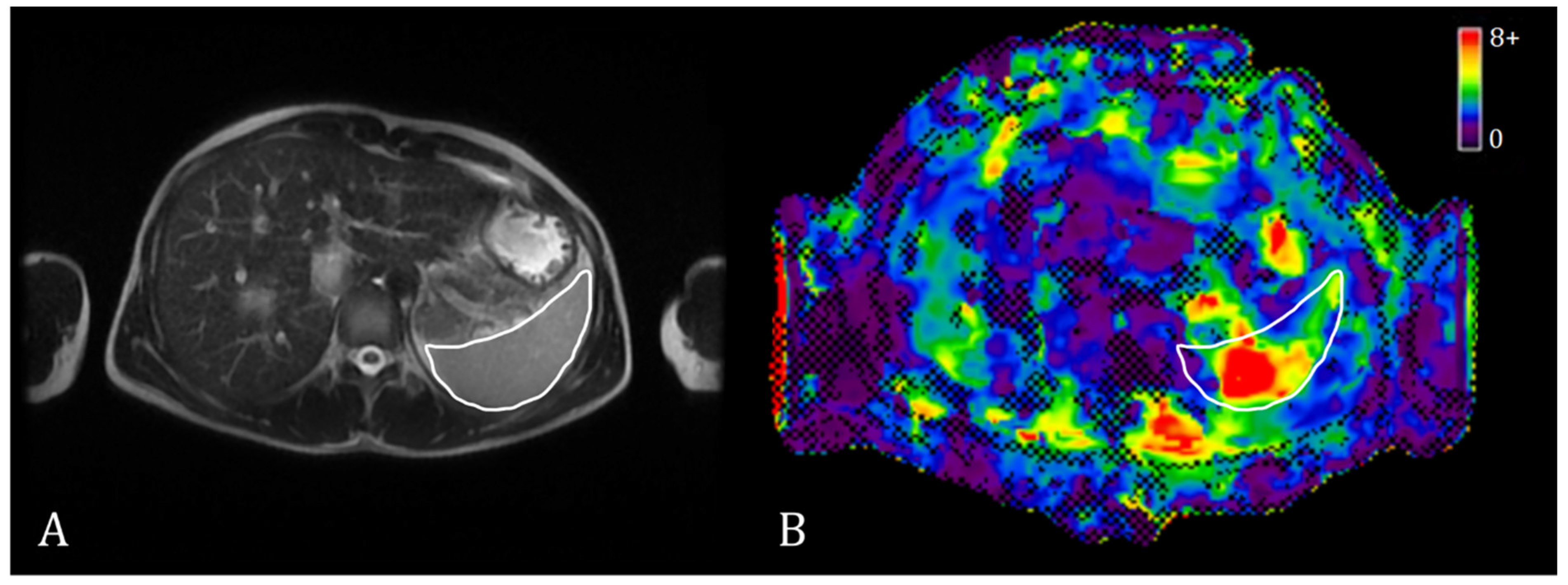 Diagnostics 13 02738 g001