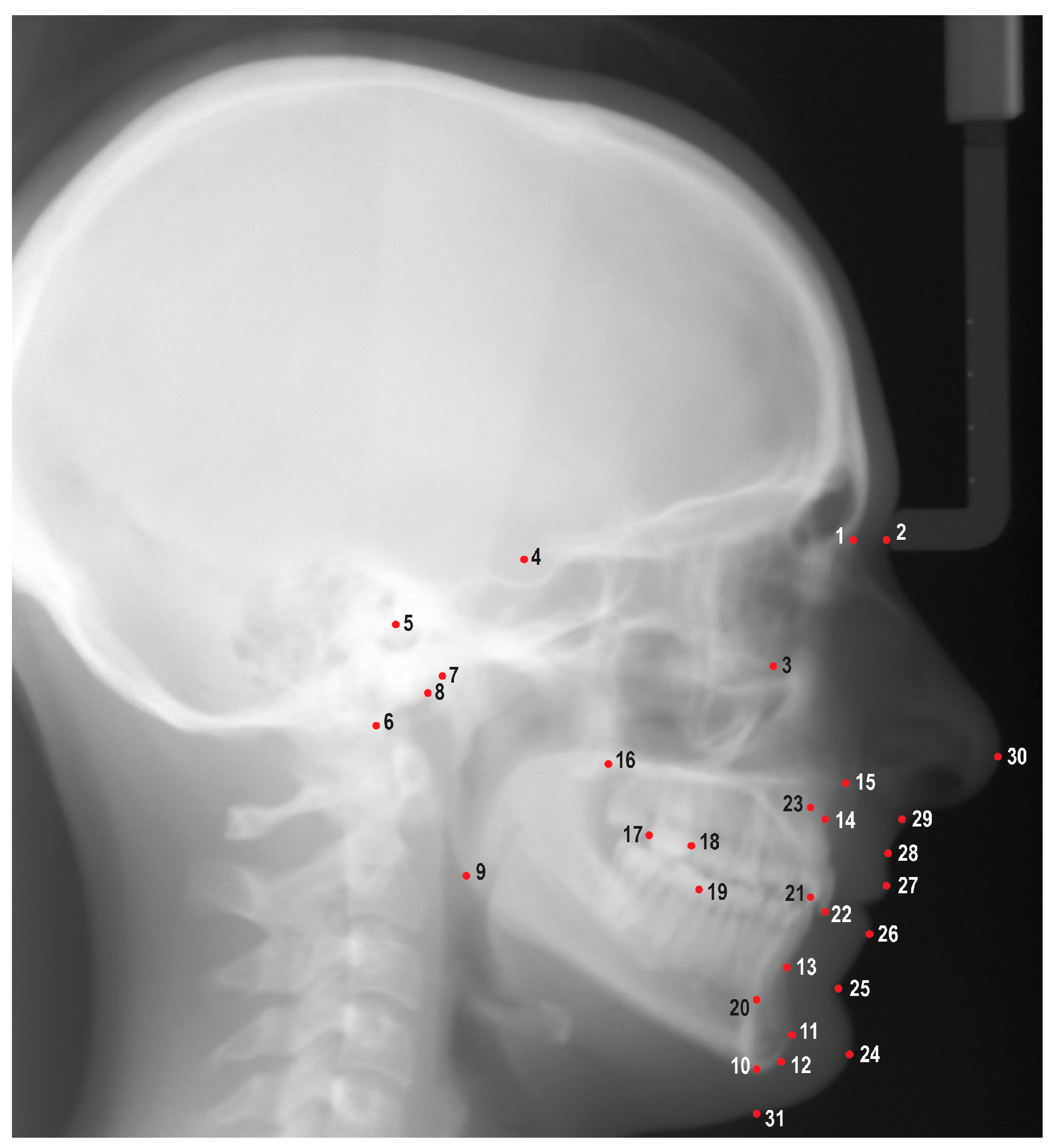 Diagnostics 13 02740 g001