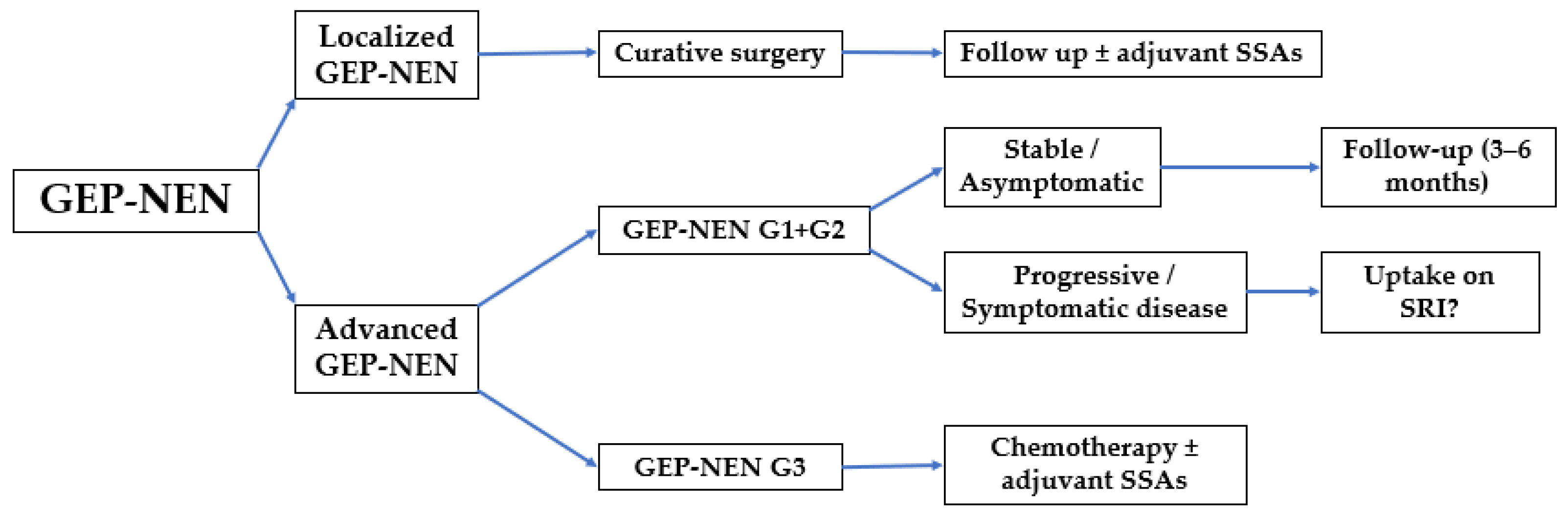 Diagnostics 13 02741 g001