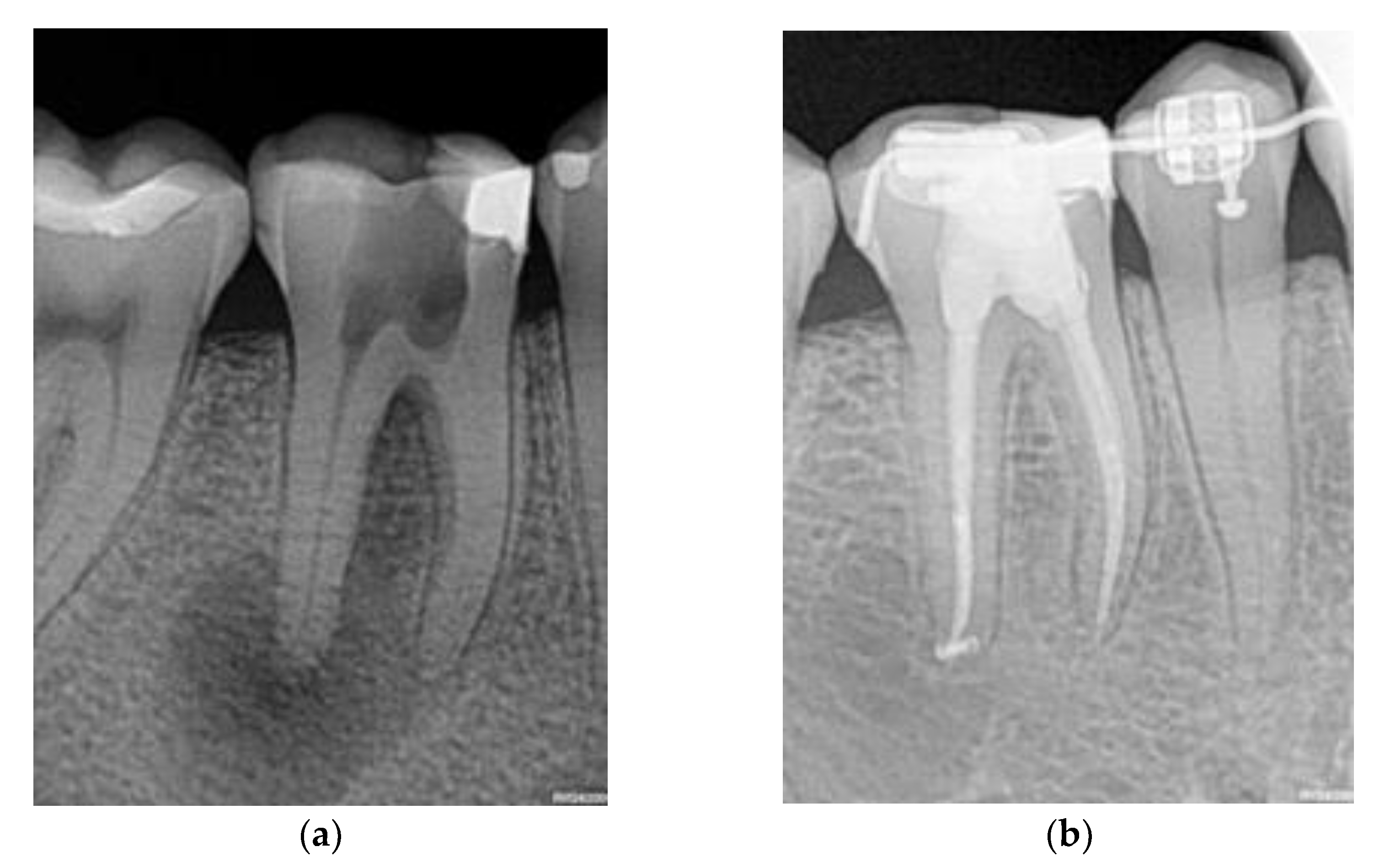 Diagnostics 13 02742 g001