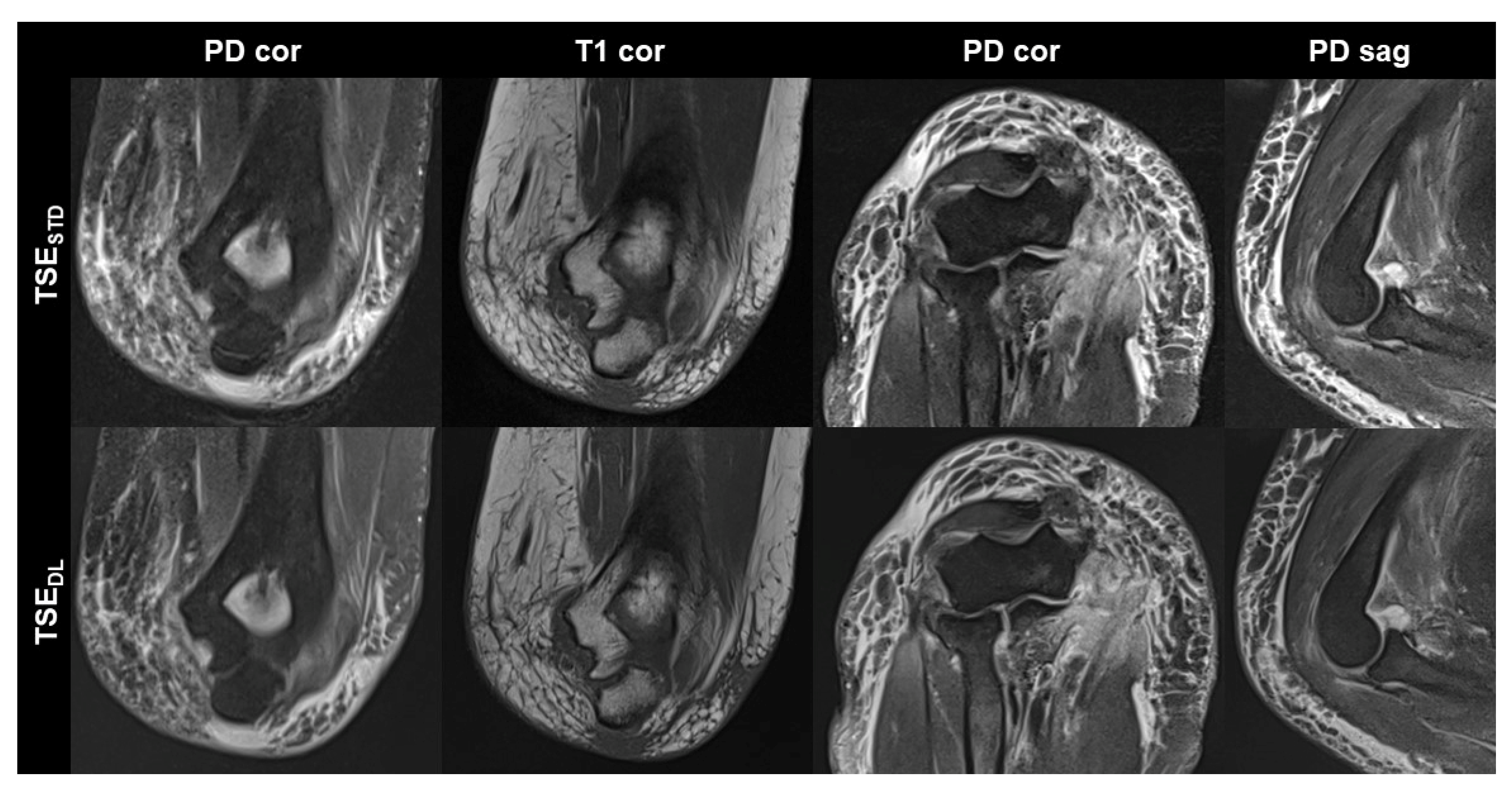 Diagnostics 13 02747 g004