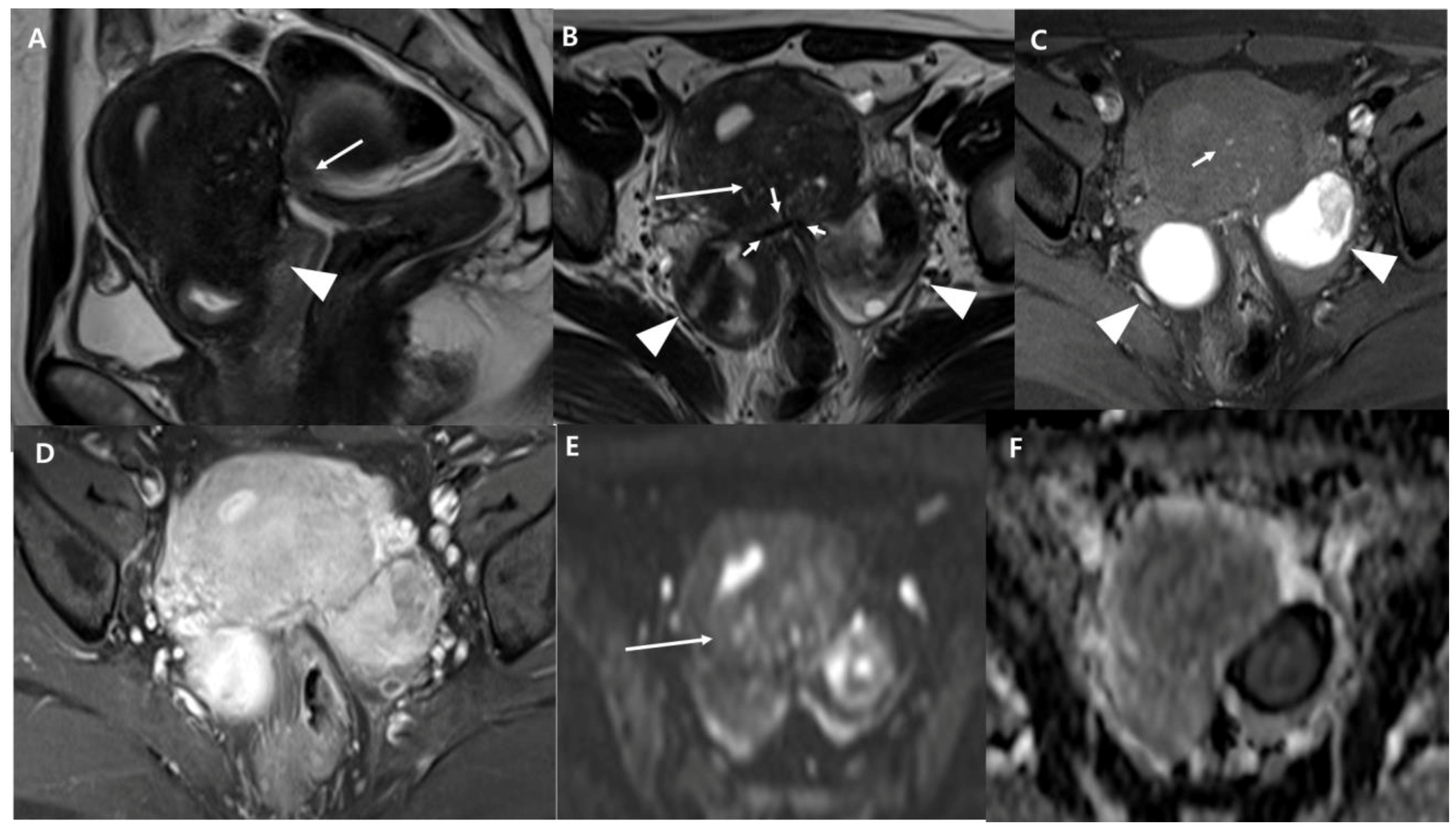 Diagnostics 13 02749 g002
