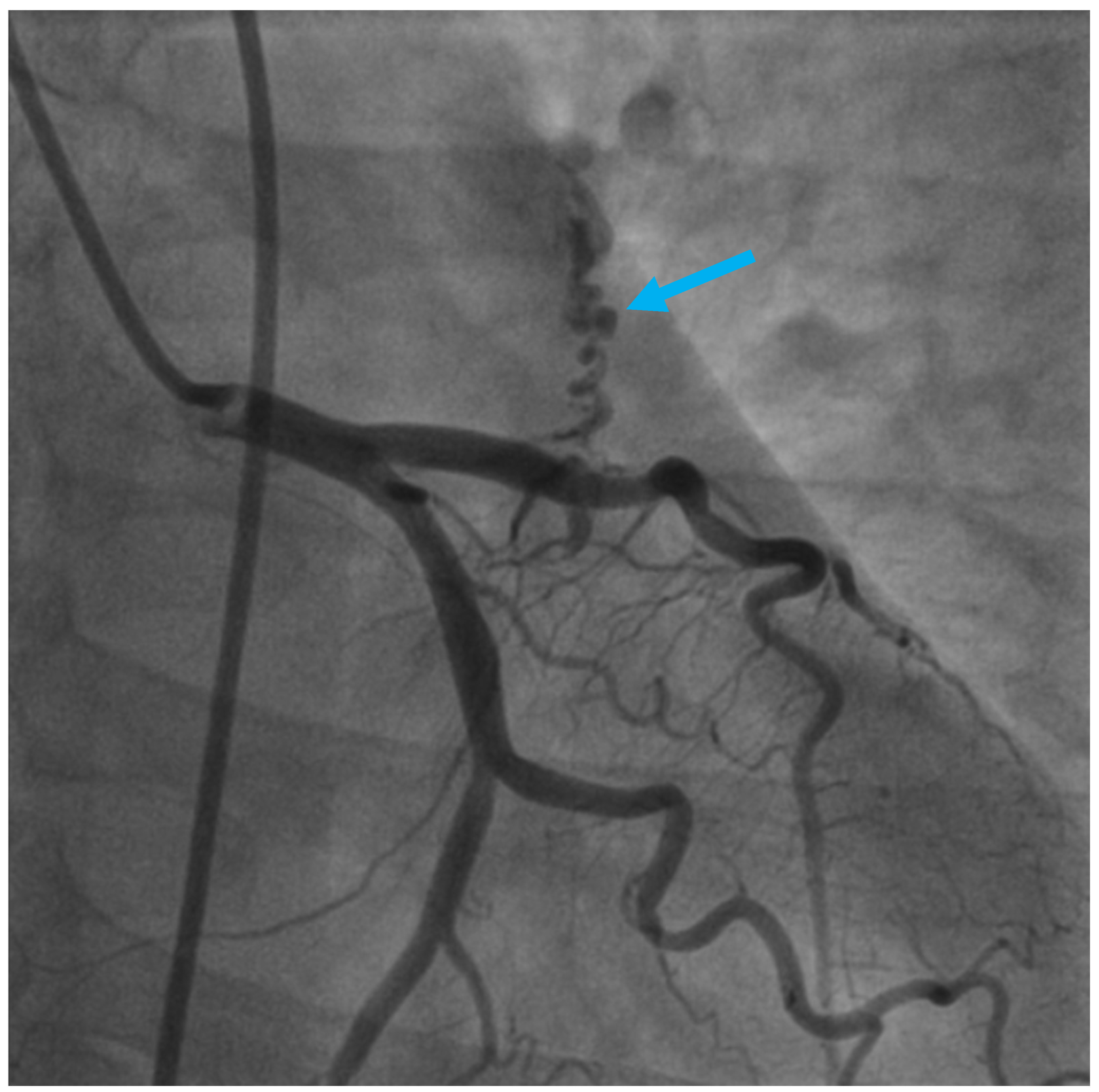 Diagnostics 13 02751 g001 Diagnostics 13 02751 g001