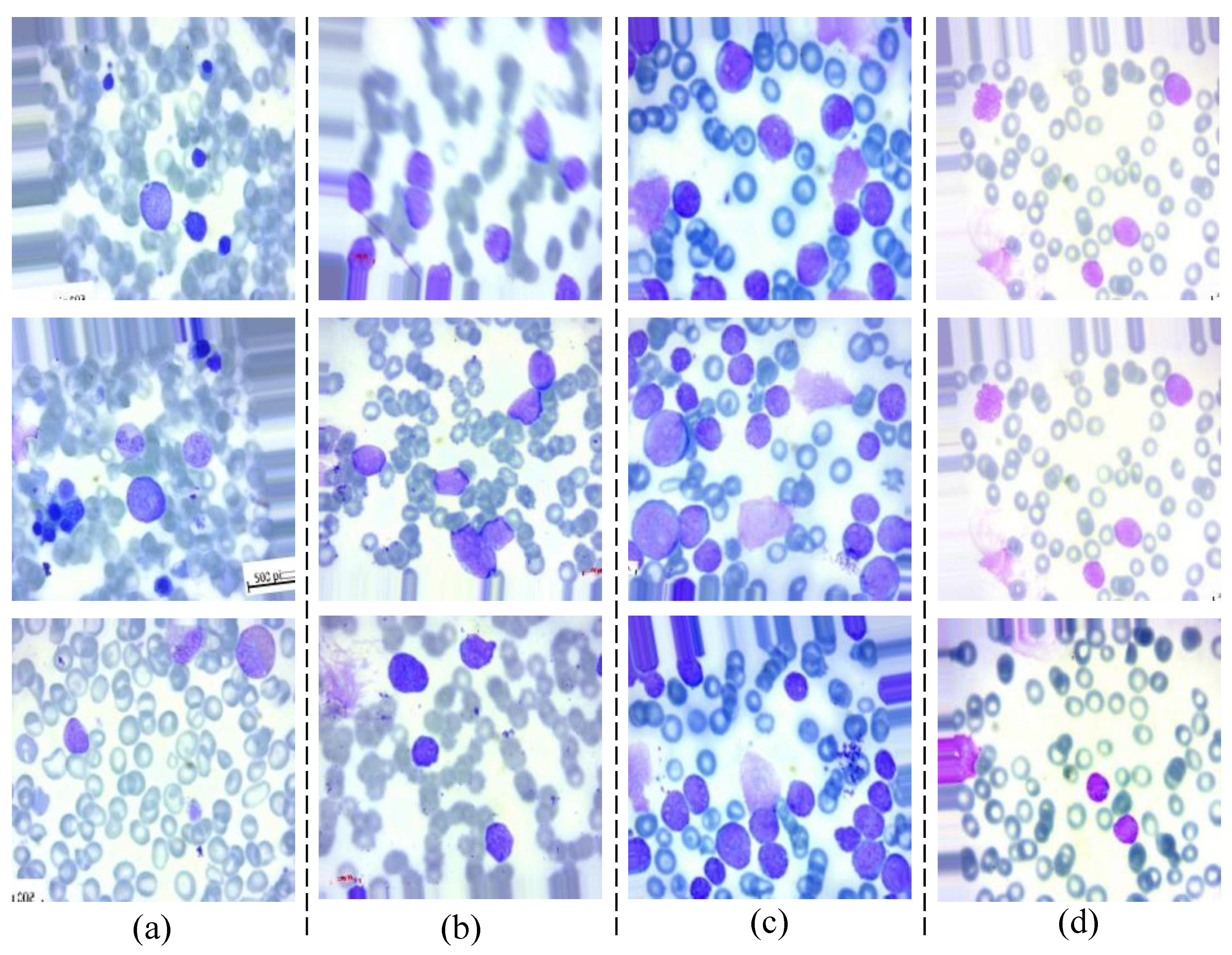 Diagnostics 13 02752 g001