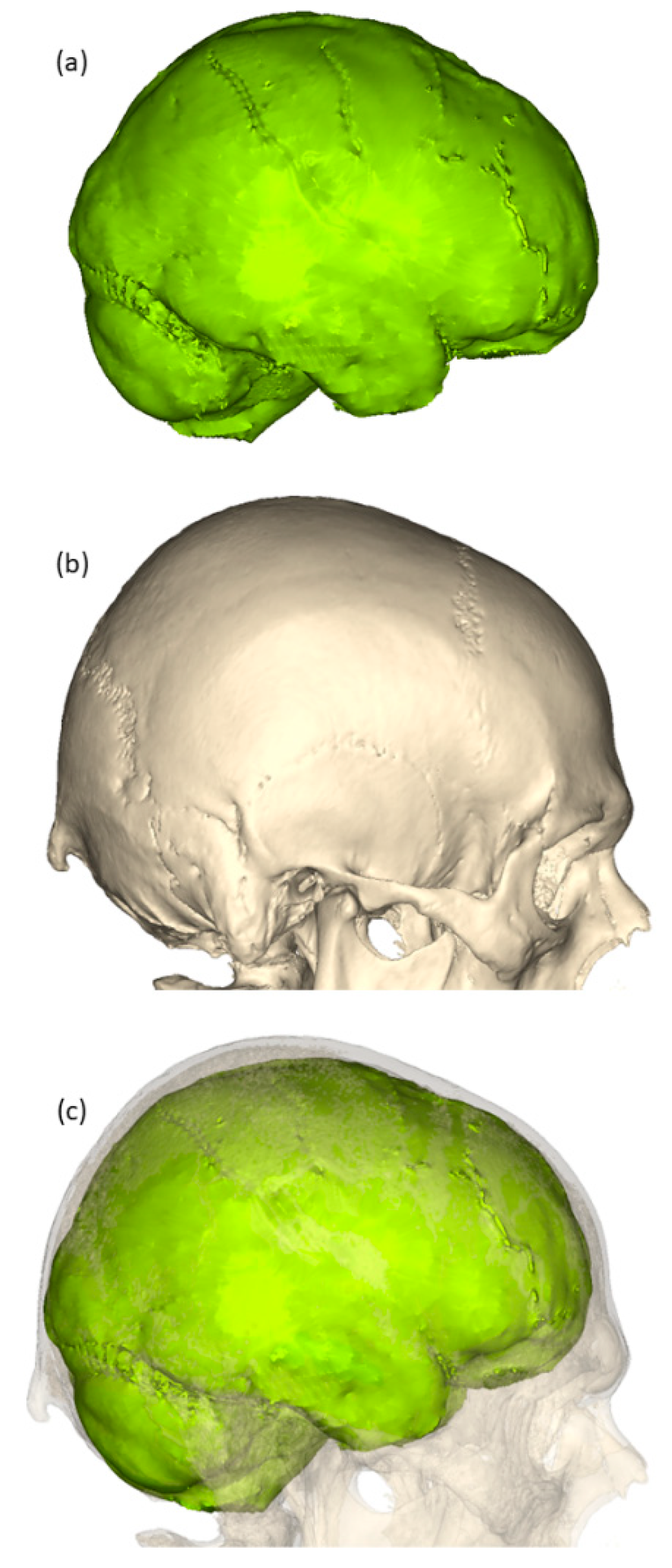 Diagnostics 13 02764 g003