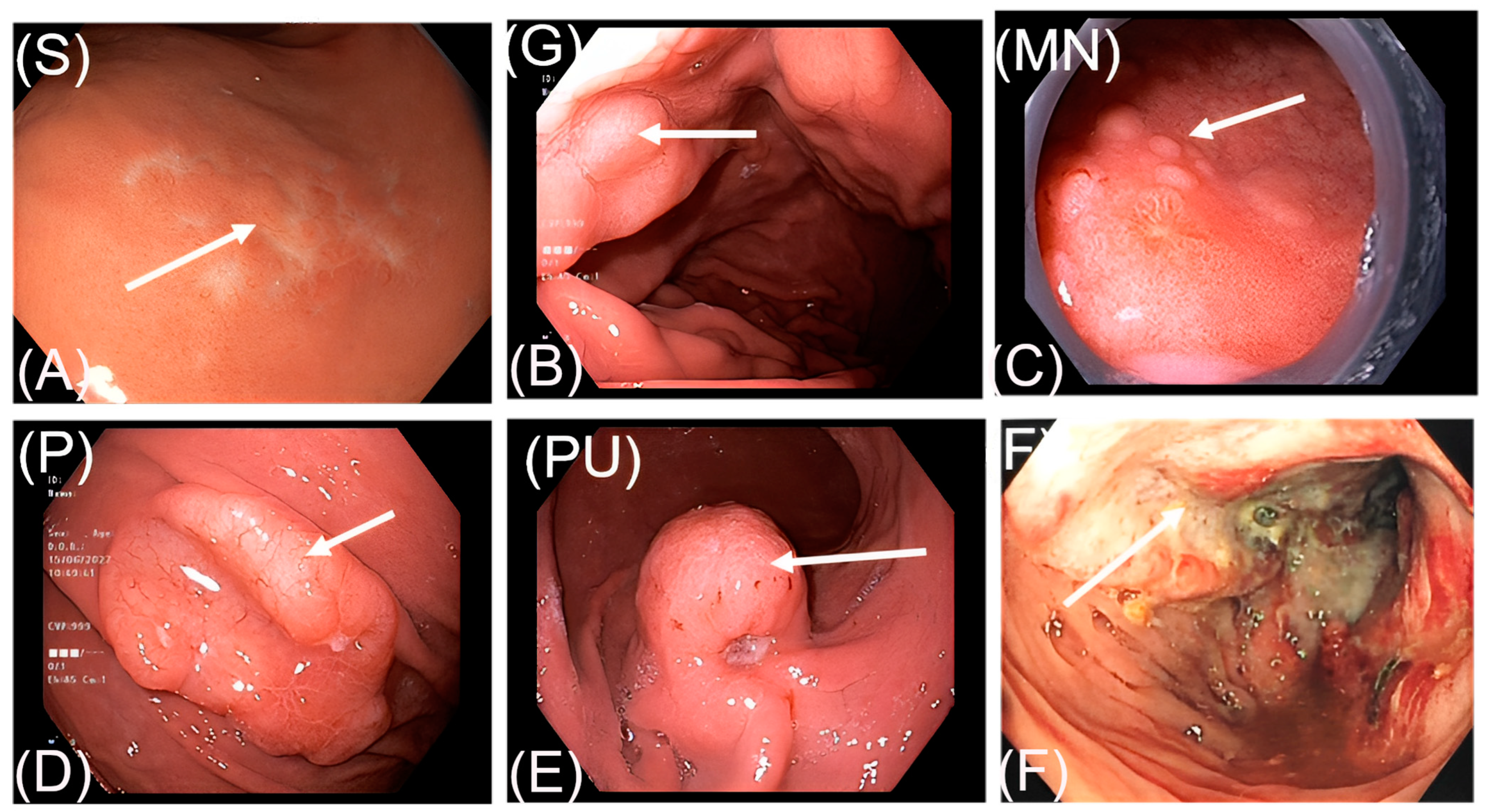 Diagnostics 13 02767 g001