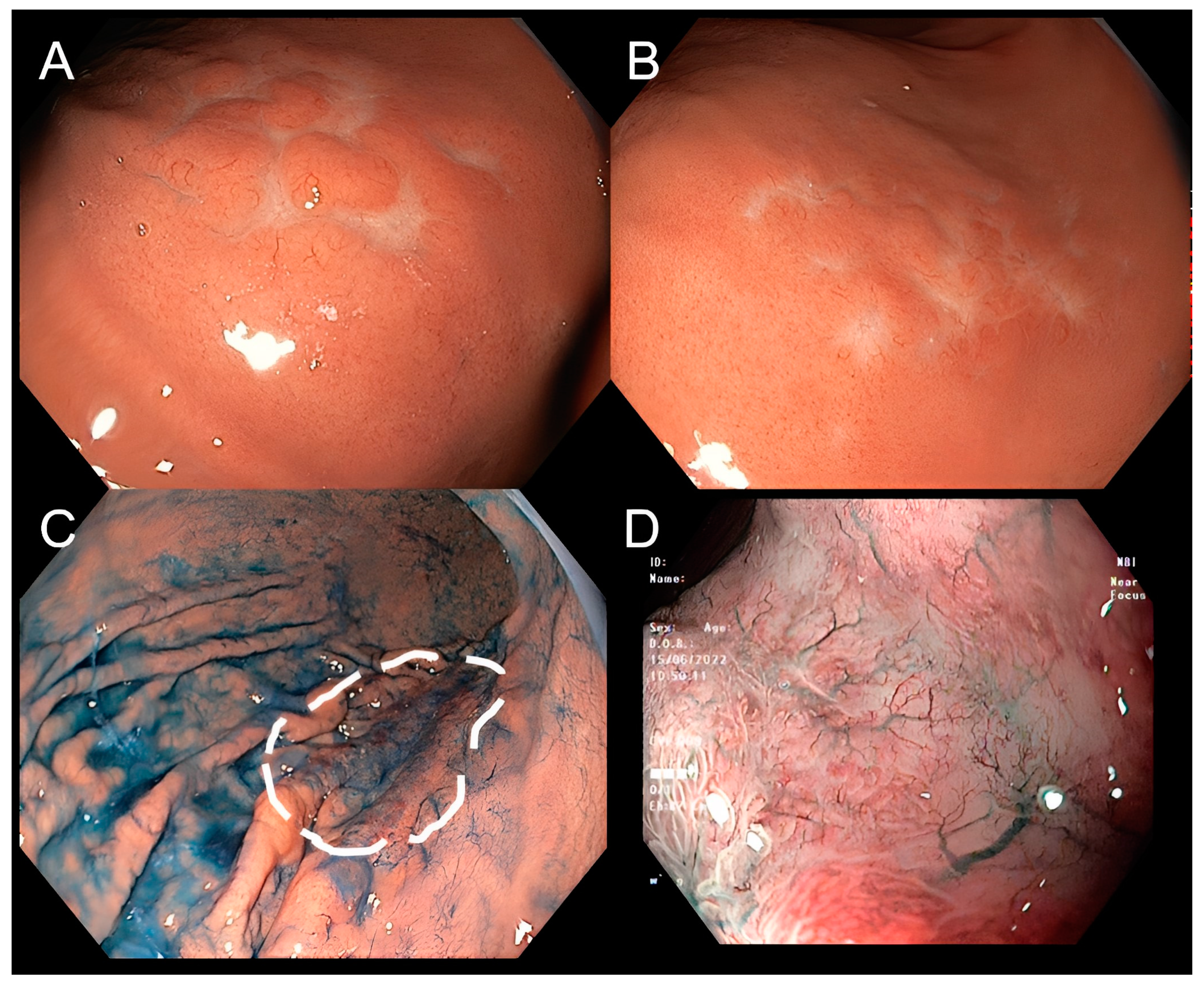 Diagnostics 13 02767 g002