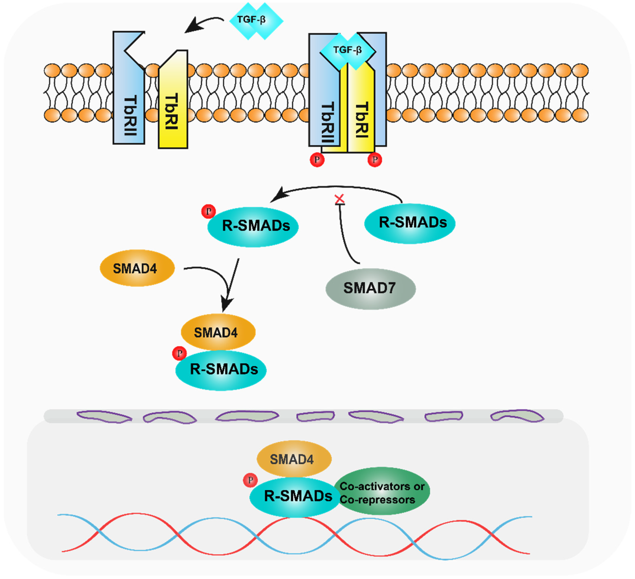 Diagnostics 13 02769 g001