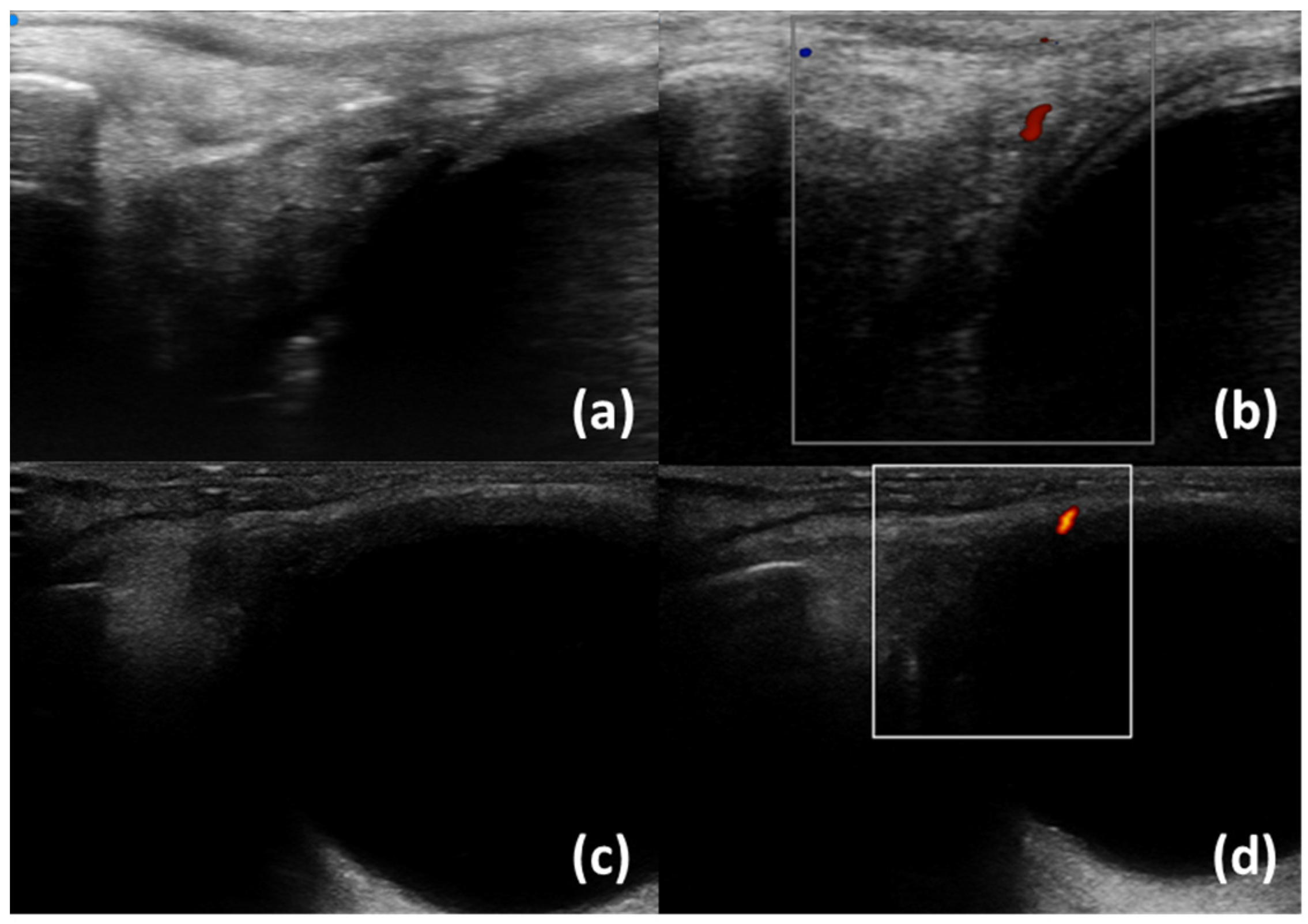 Diagnostics 13 02771 g001