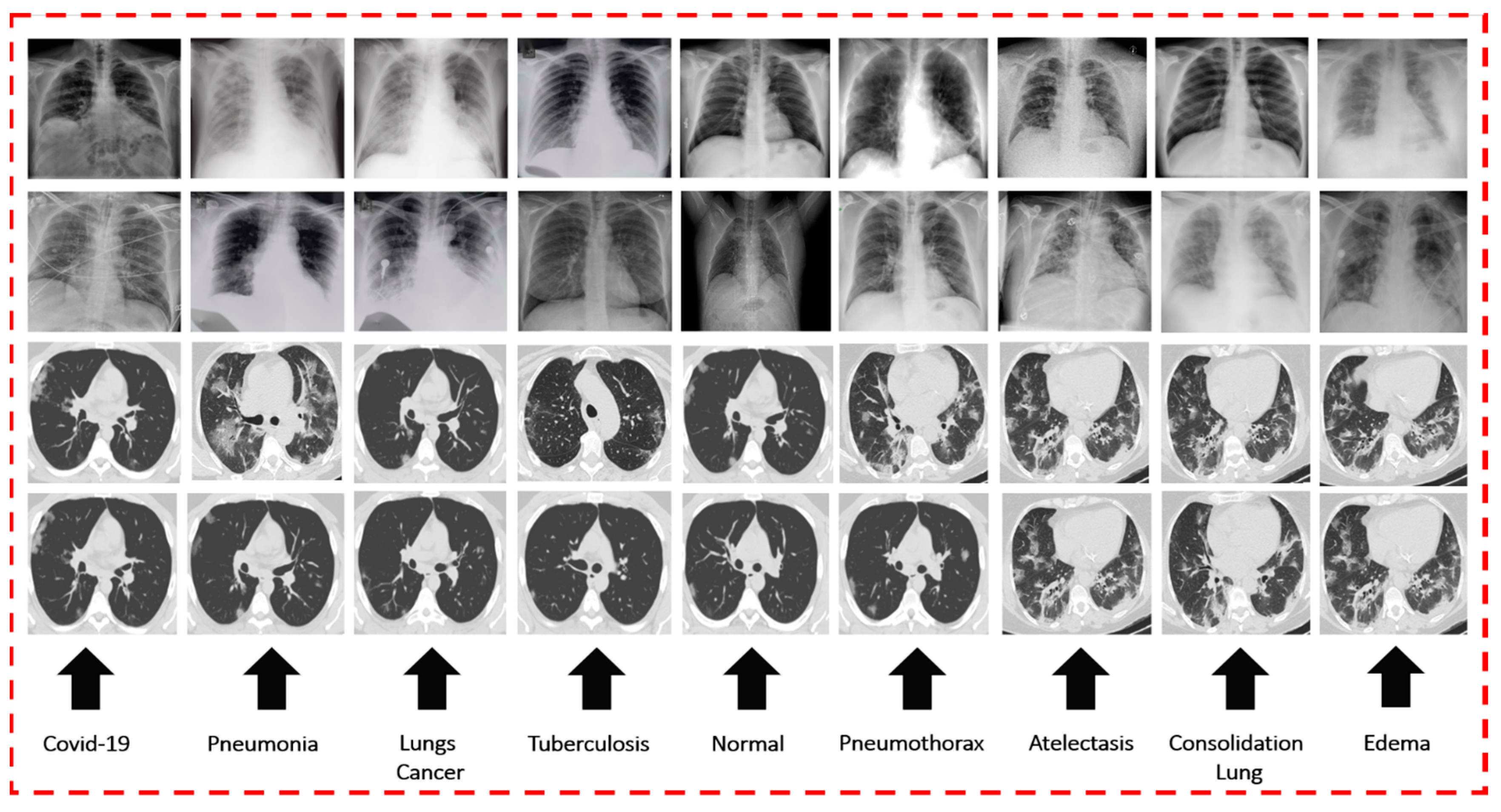 Diagnostics 13 02772 g002