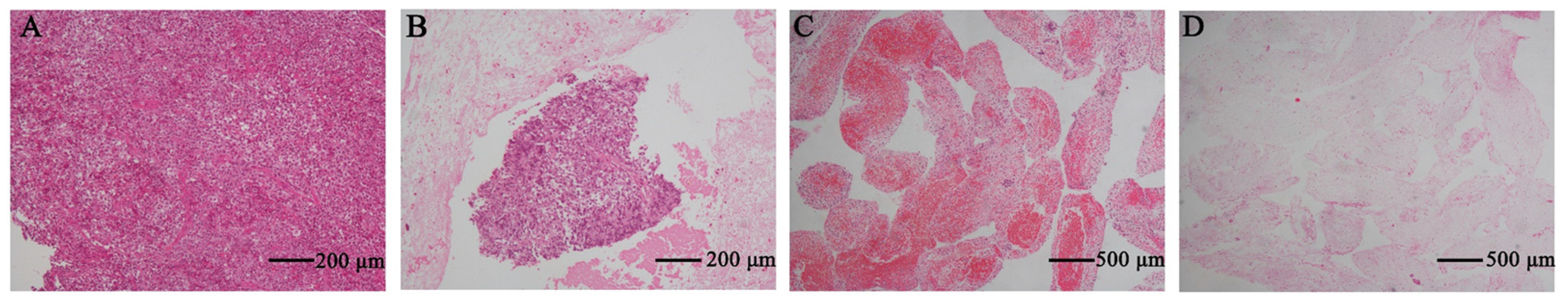Diagnostics 13 02777 g002