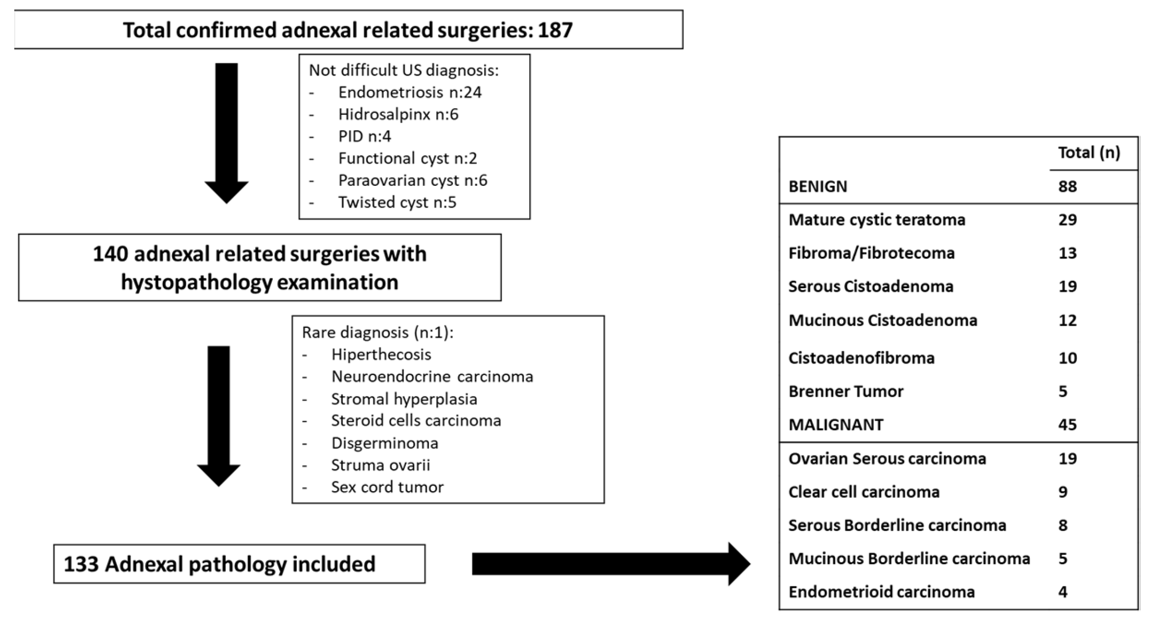 Diagnostics 13 02785 g001
