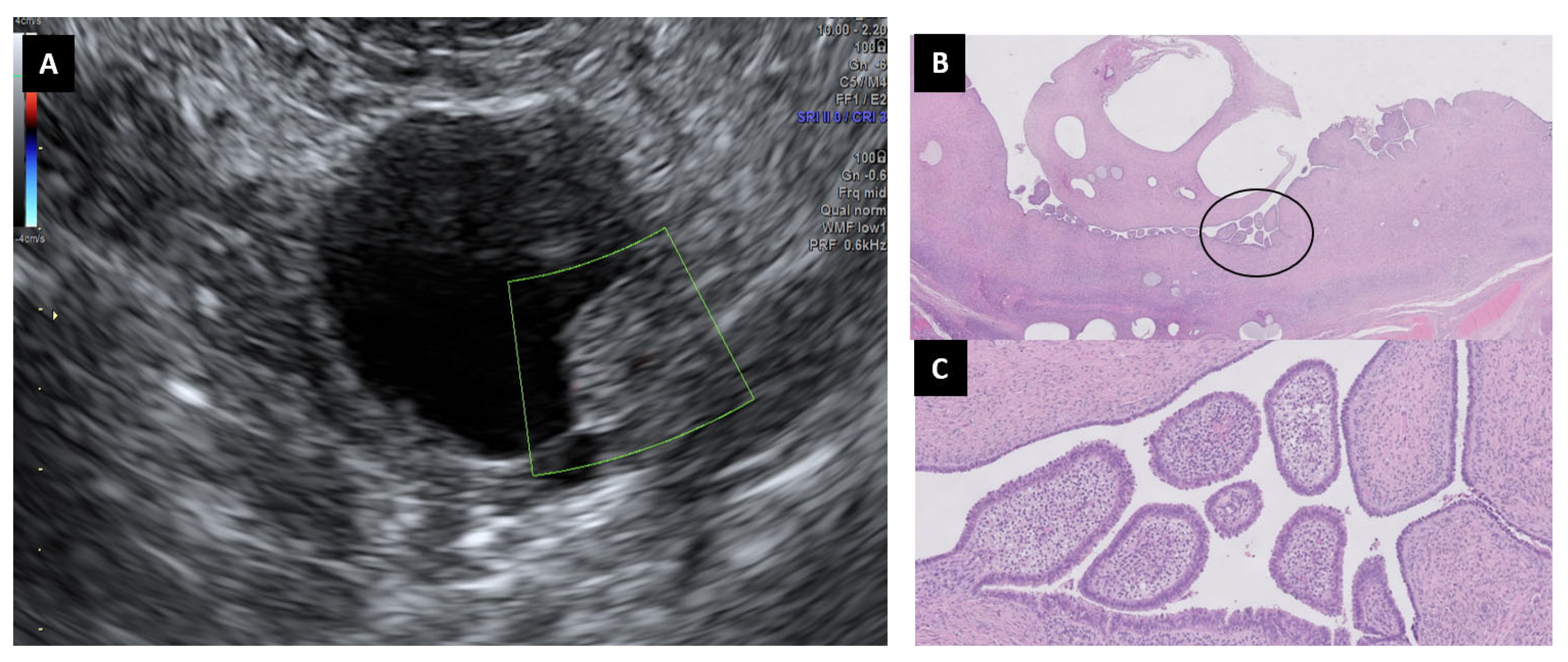 Diagnostics 13 02785 g003