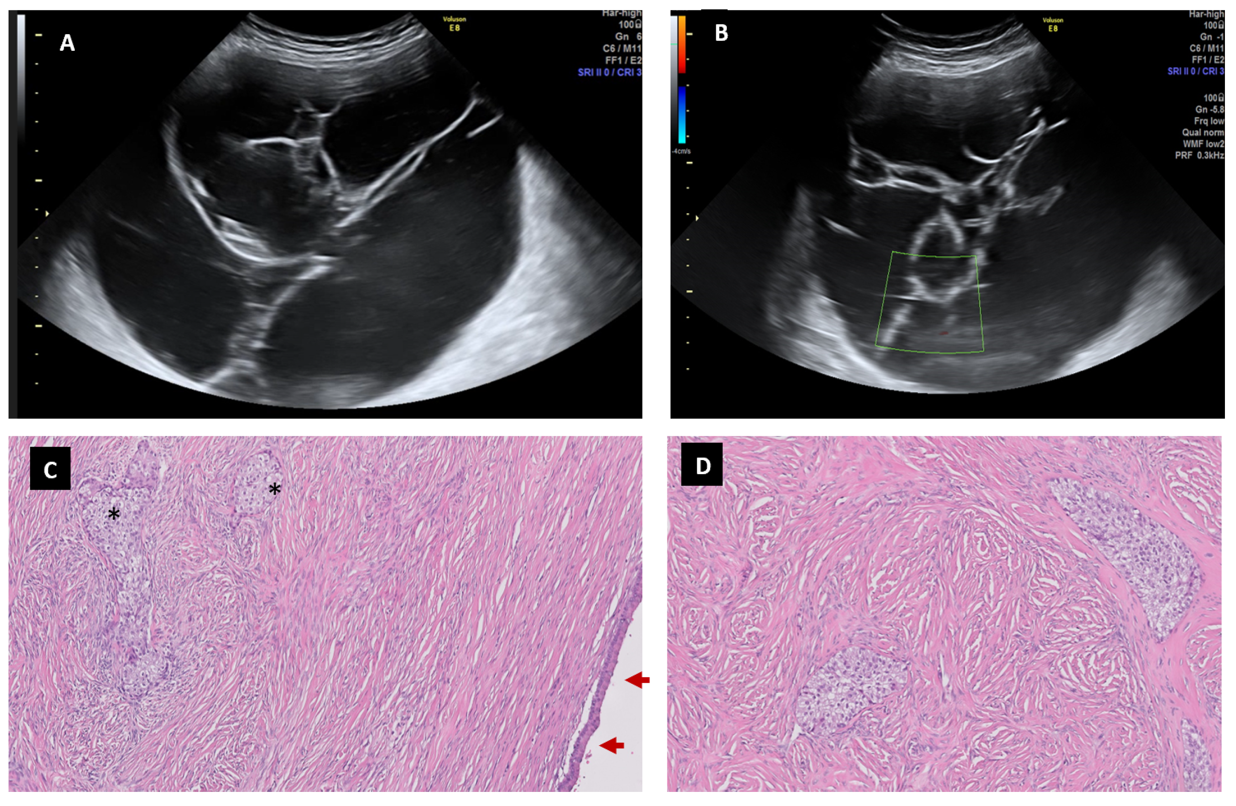 Diagnostics 13 02785 g007