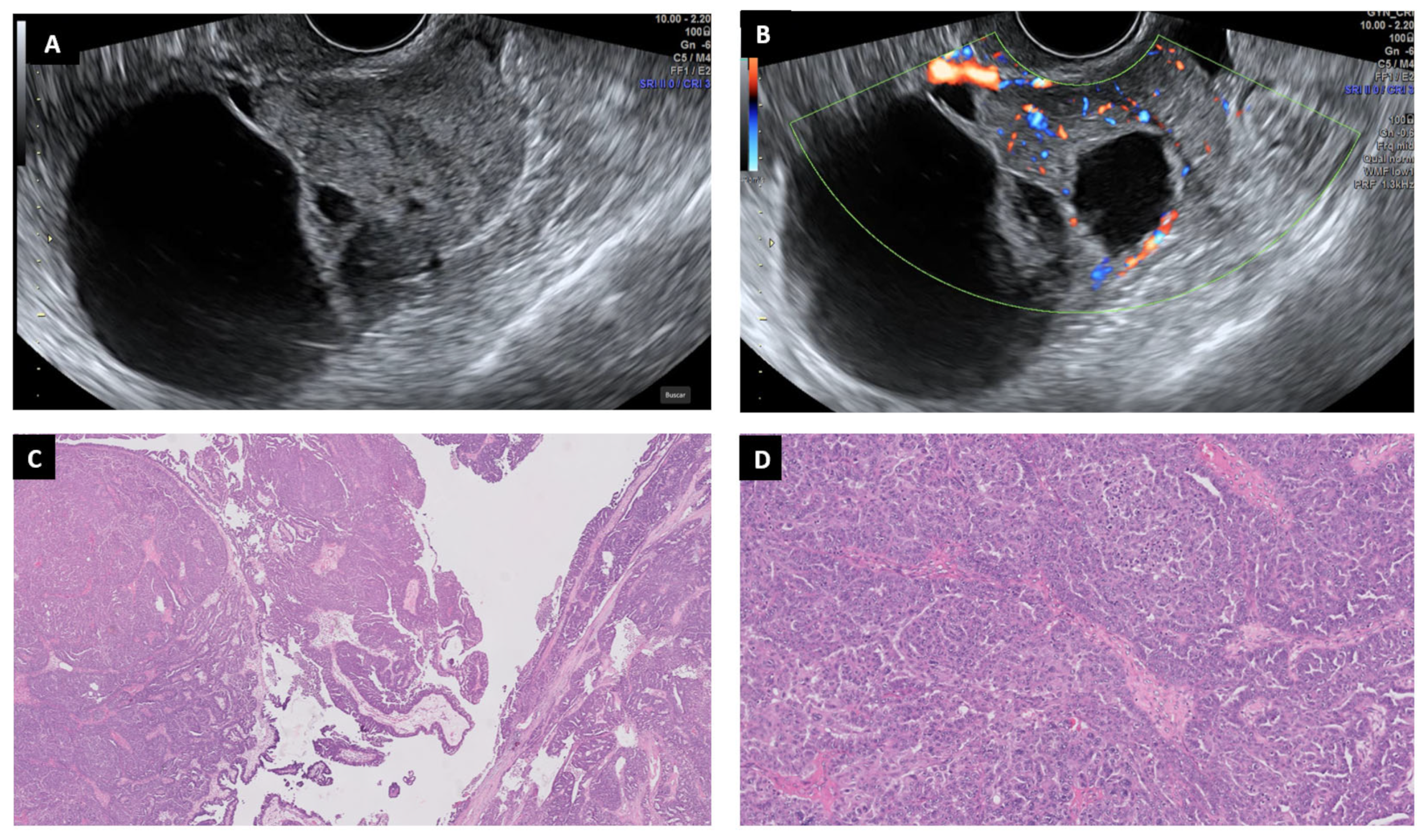 Diagnostics 13 02785 g009