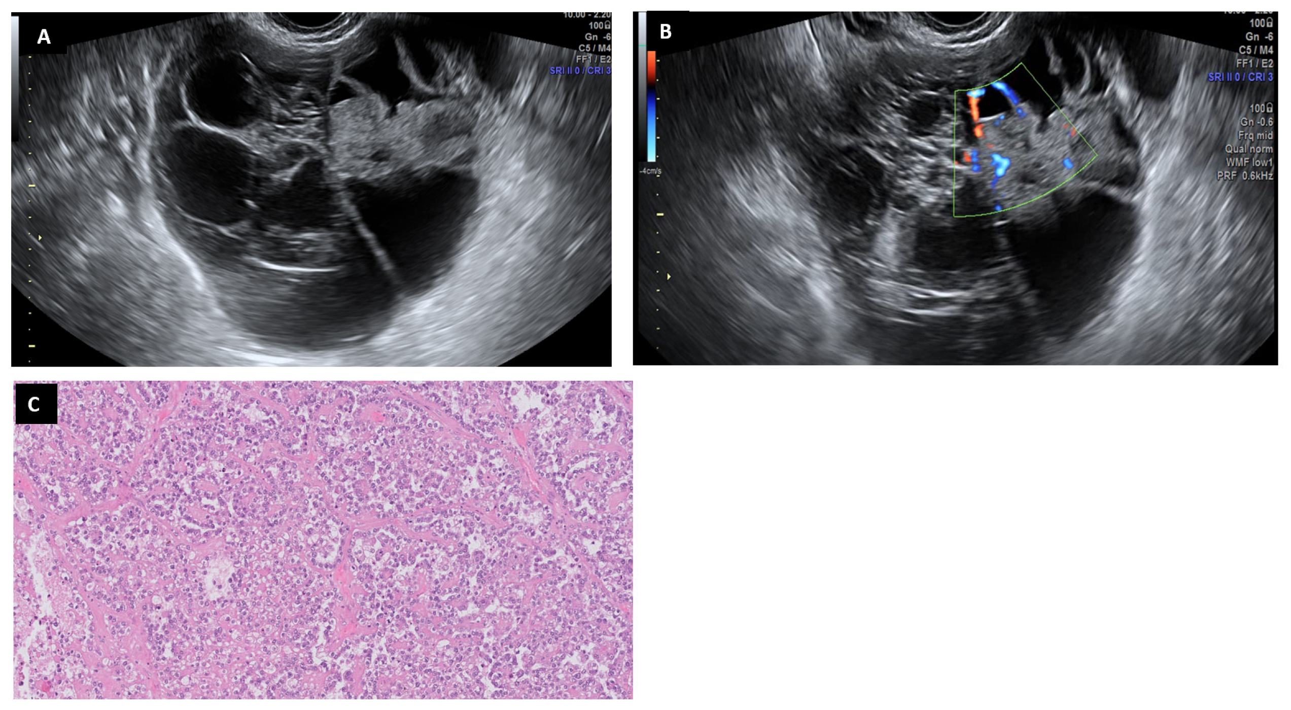 Diagnostics 13 02785 g010